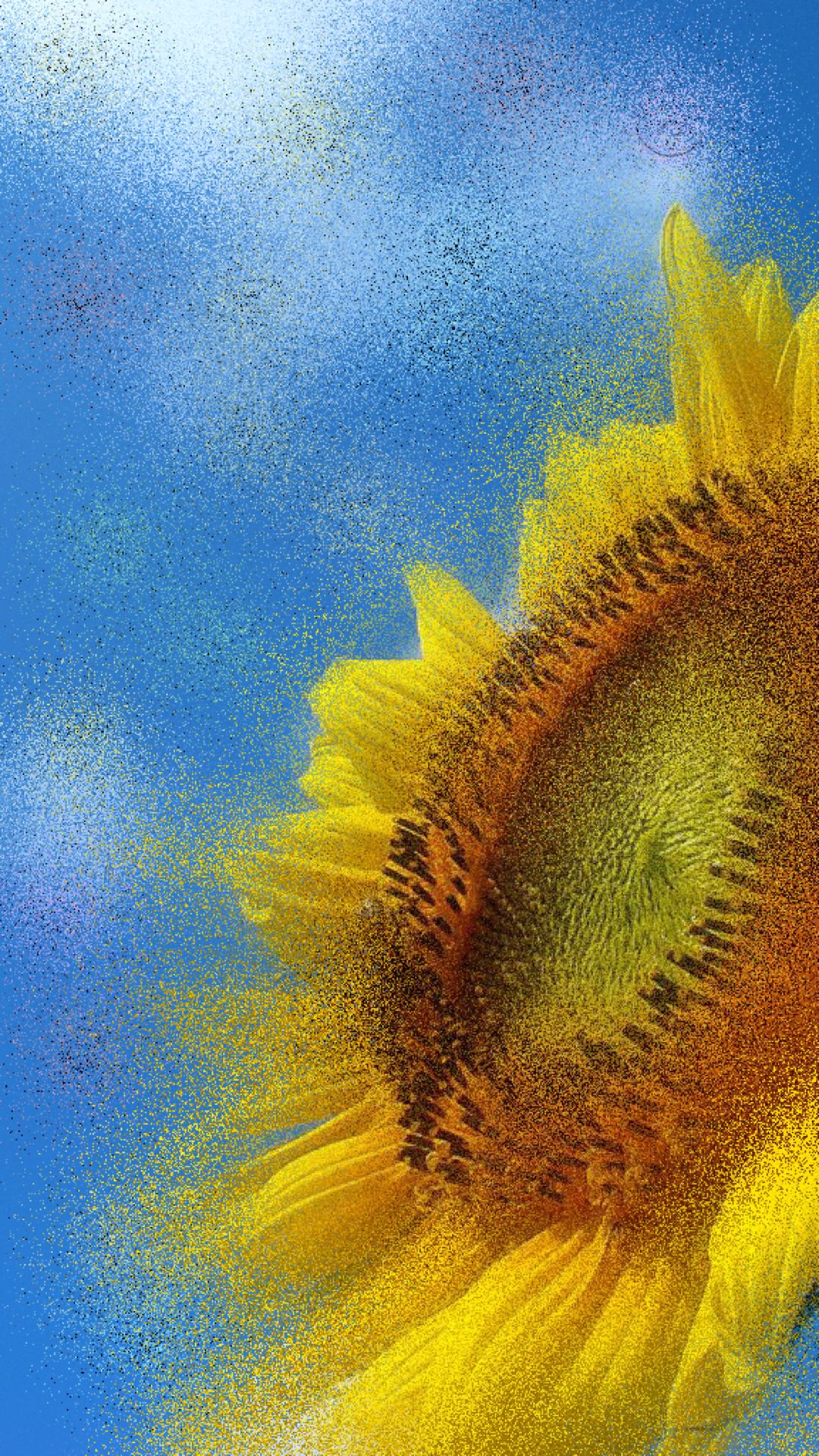Bunga Matahari Wallpapersc Android