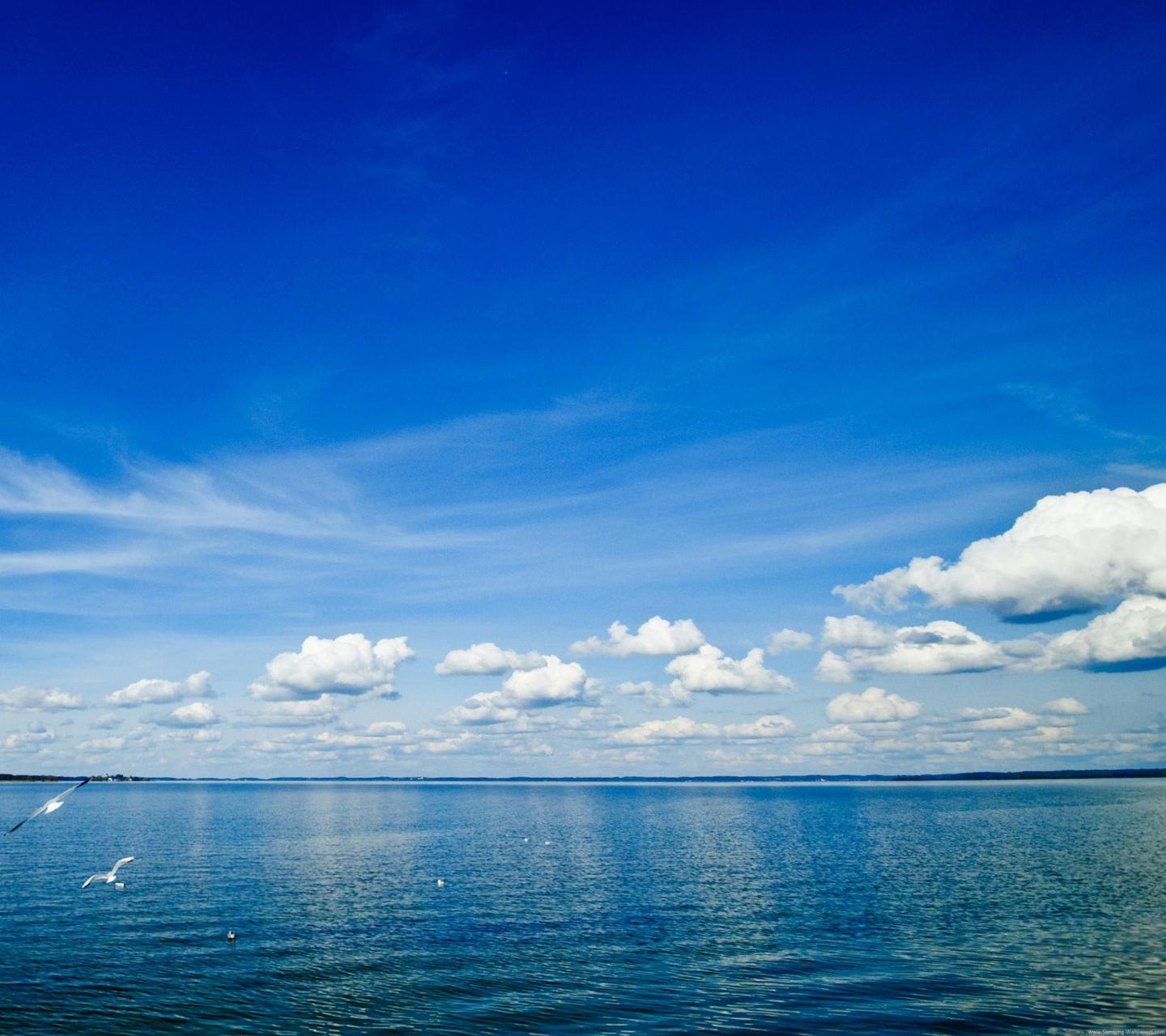 Pemandangan Langit Biru Laut Wallpapersc Android