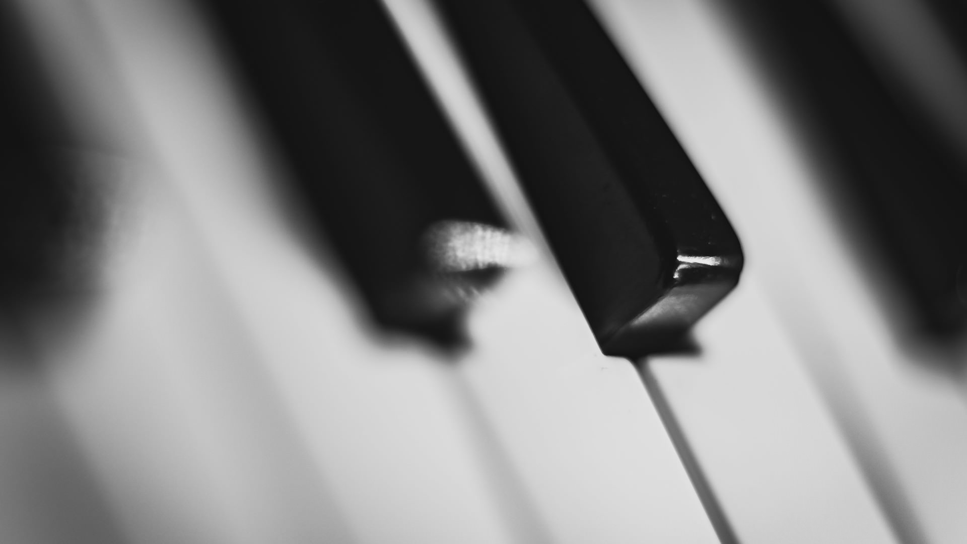 Piano Keren Hitam Putih Wallpapersc Desktop