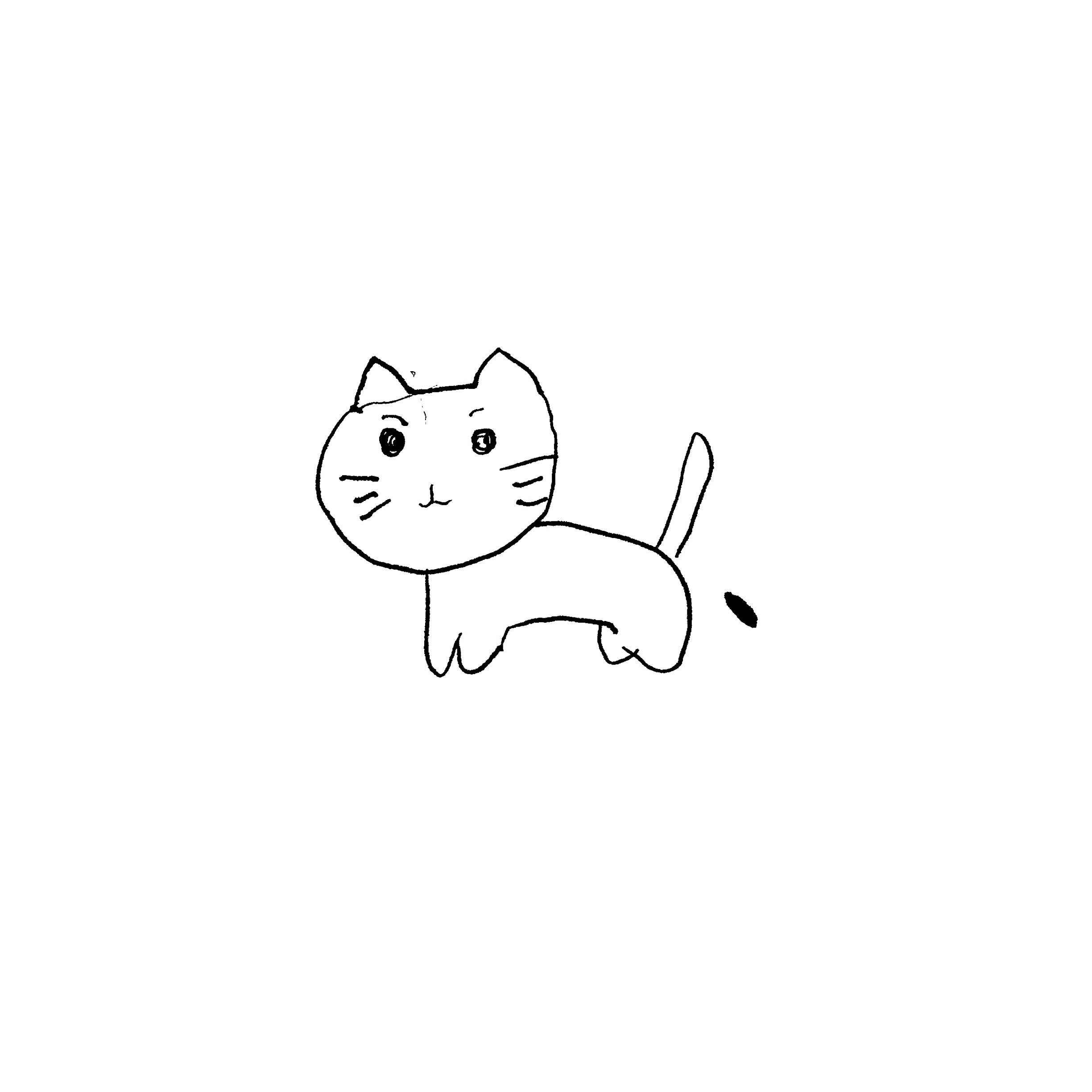 Ilustrasi Kucing Putih Wallpapersc IPad Tablet