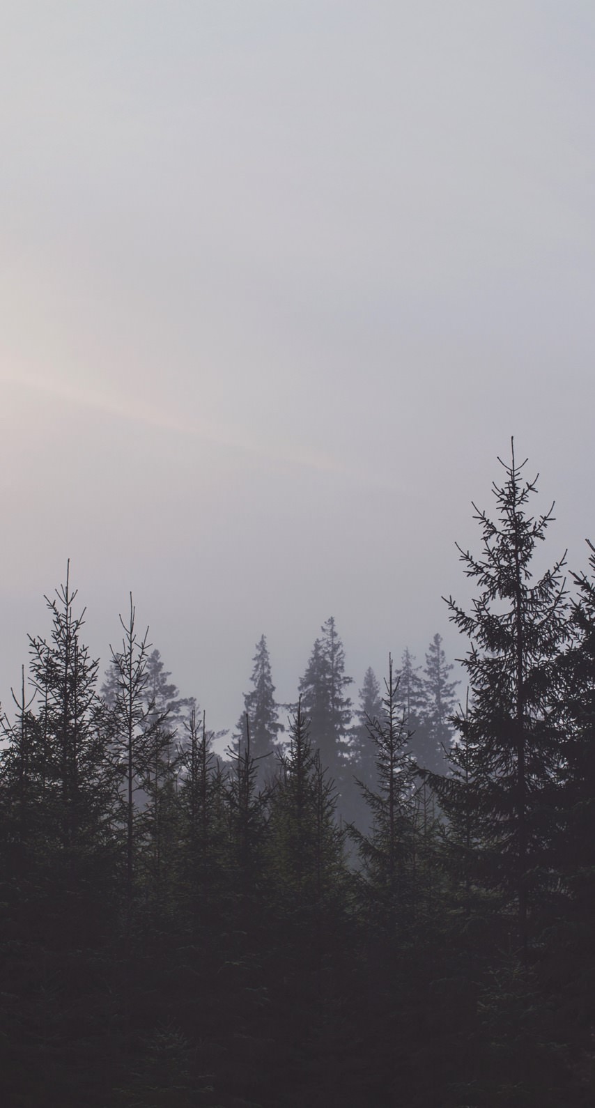 Pemandangan Hutan Langit Wallpapersc IPhone6s