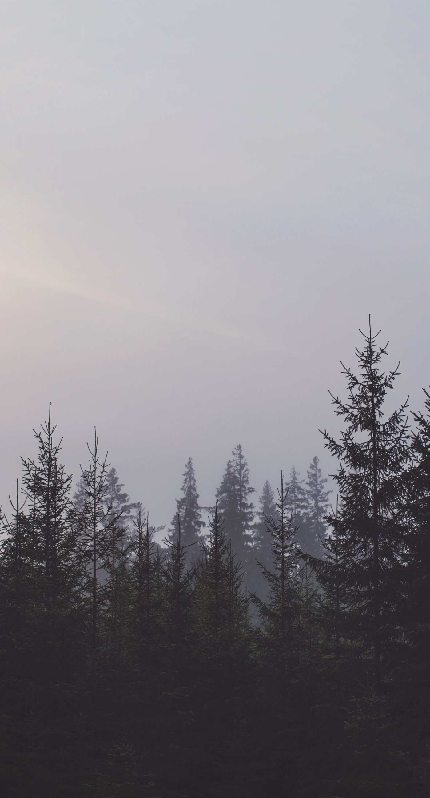 Pemandangan Hutan Langit Wallpapersc IPhone6sPlus