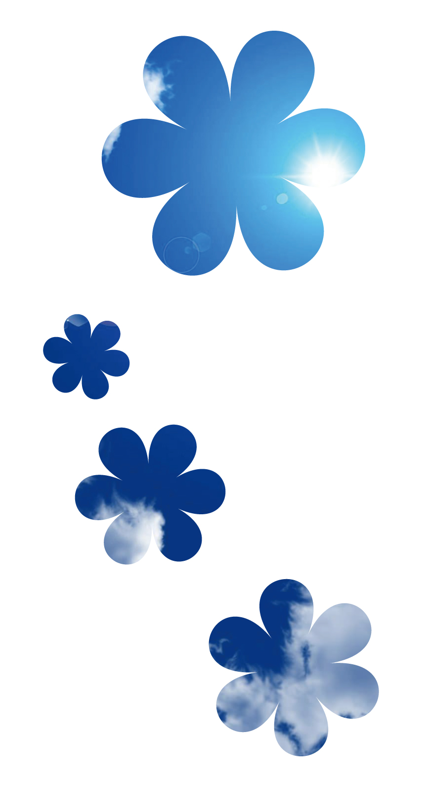 Putih Biru Lucu Bunga Sederhana Wallpapersc IPhone7