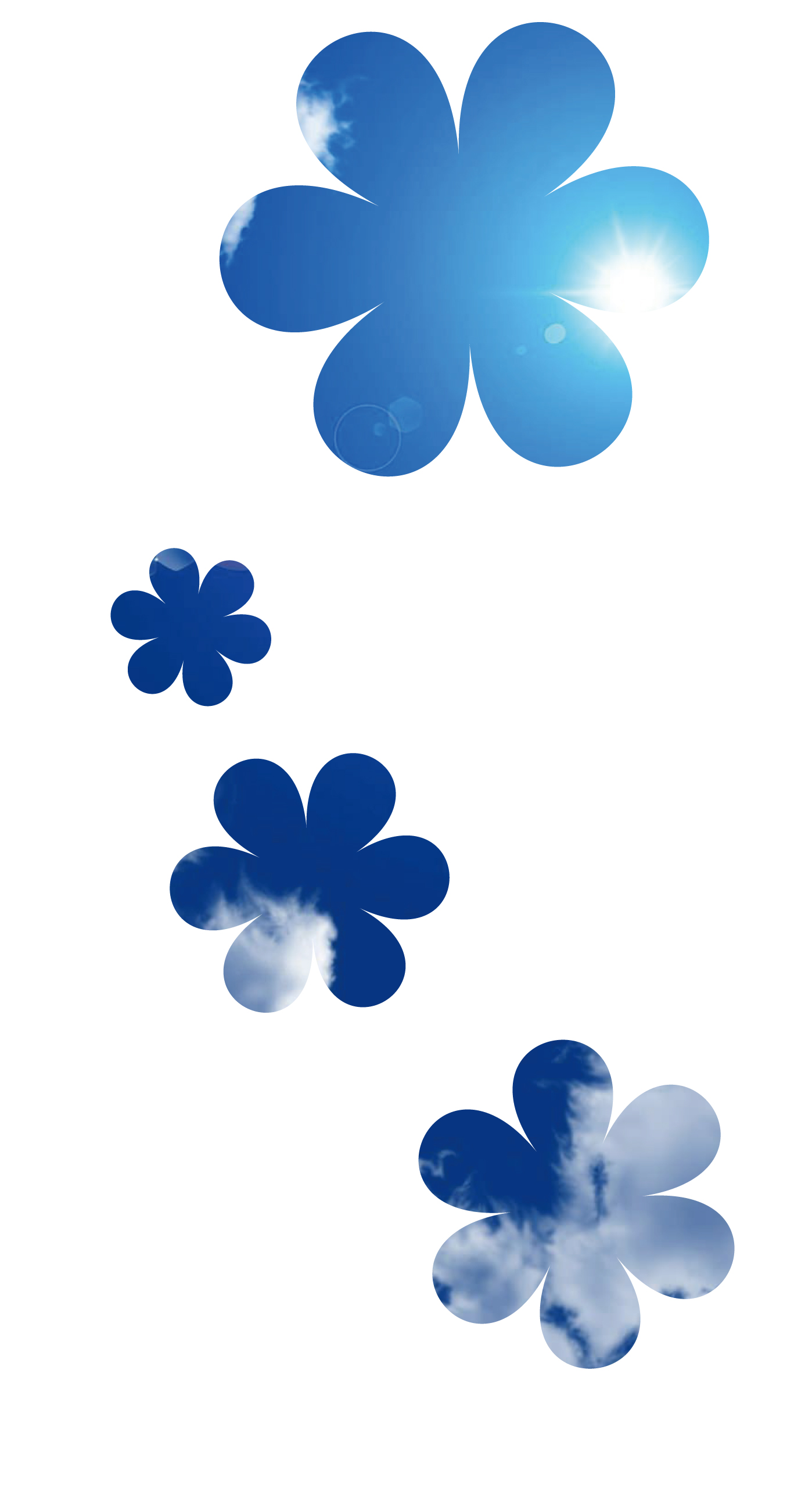 Putih Biru Lucu Bunga Sederhana Wallpapersc IPhone7Plus