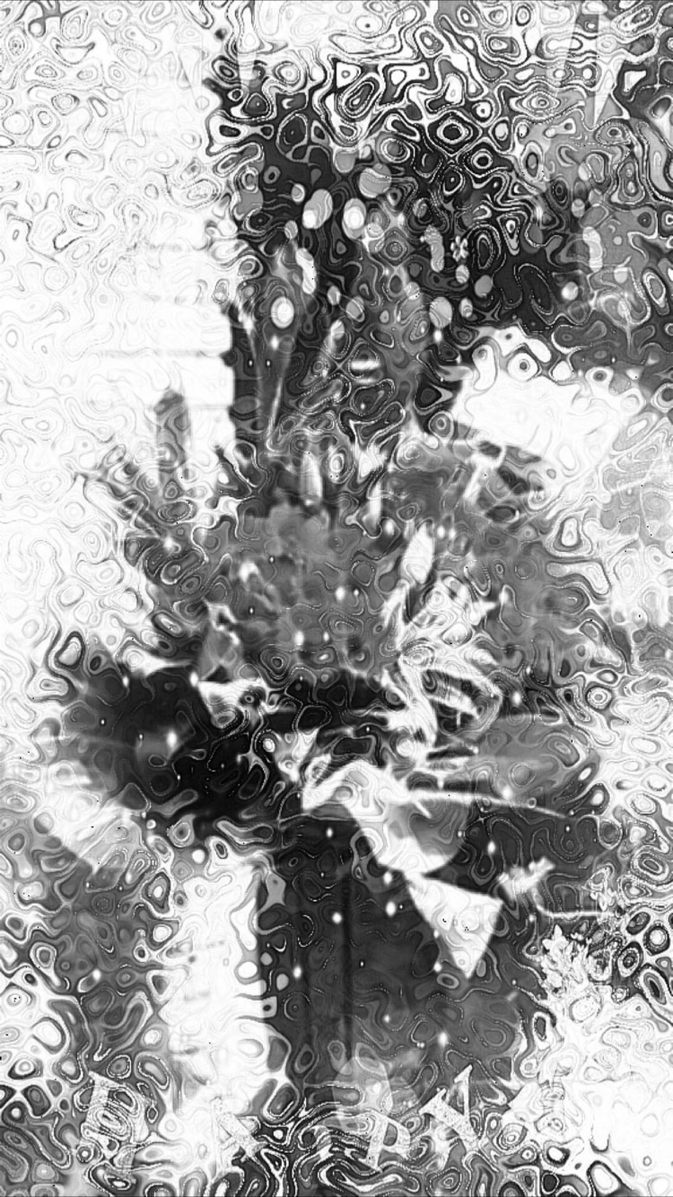 Bunga Hitam Dan Putih Wallpapersc IPhone8