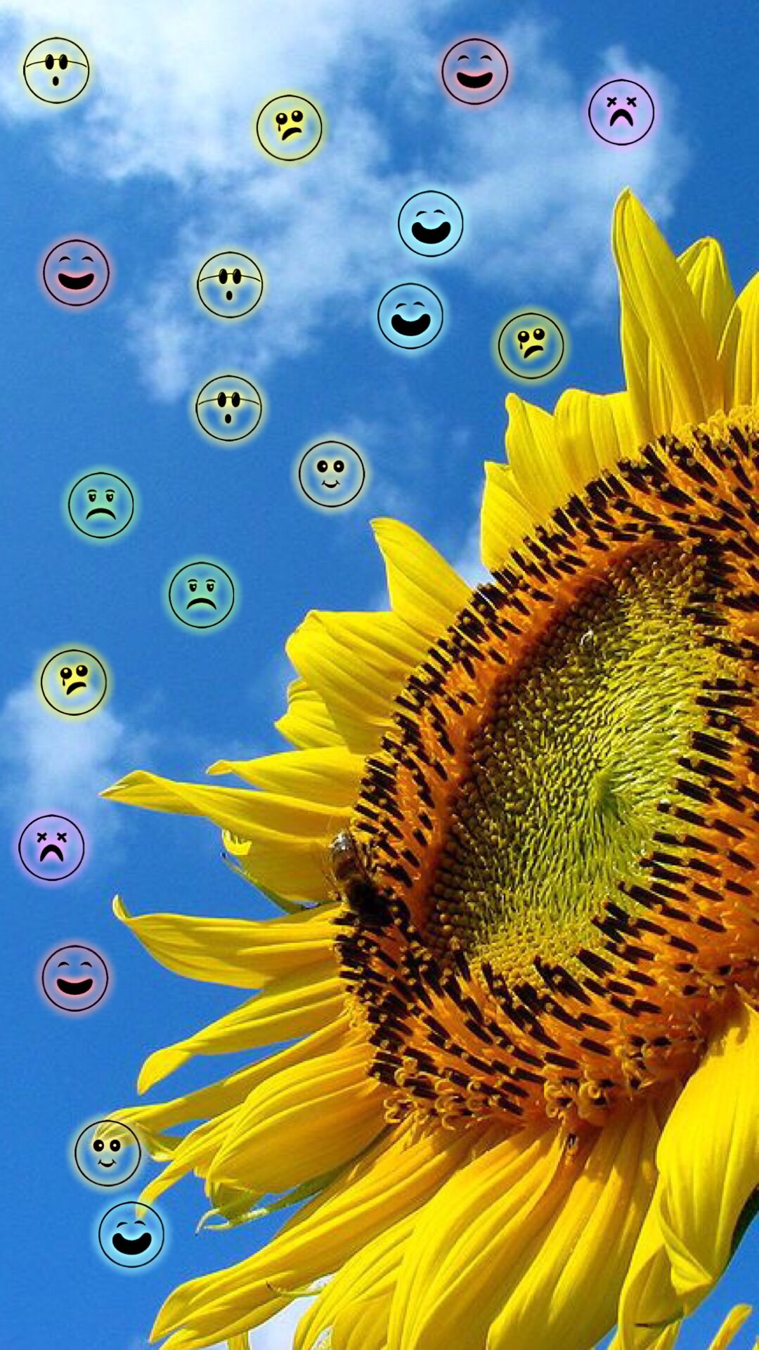 Wajah Bunga Matahari Wallpapersc IPhone8Plus