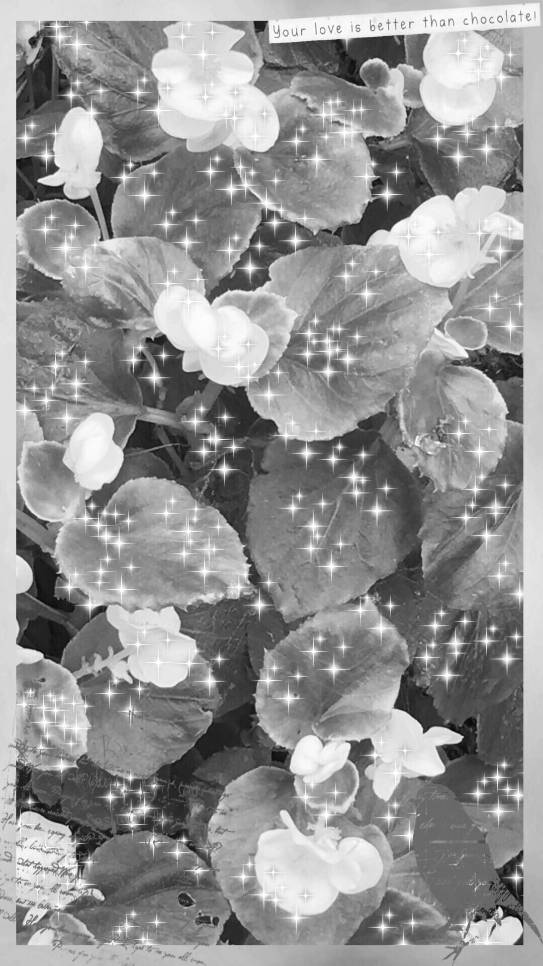 Bunga Hitam Dan Putih Wallpapersc IPhone8Plus