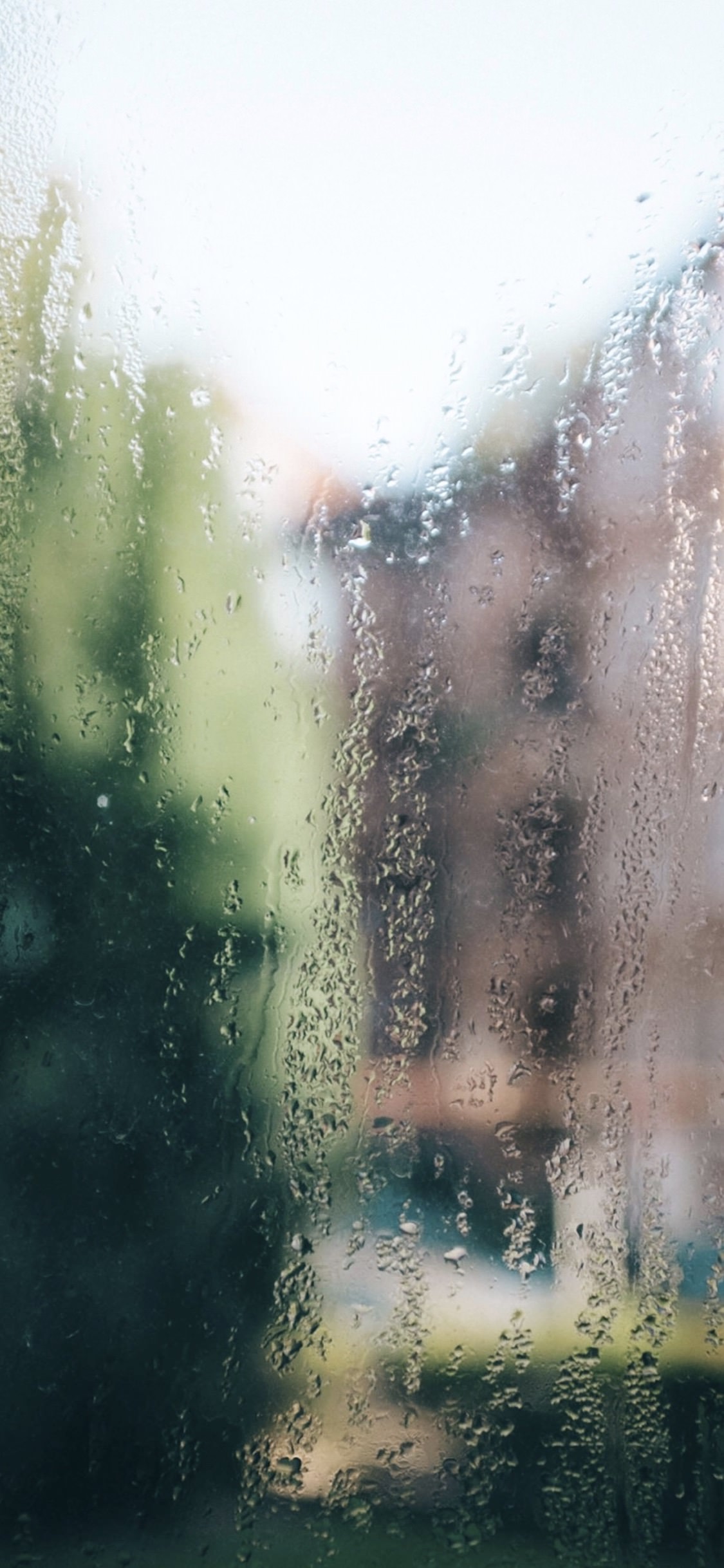 Hujan Lanskap Berwarna Warni Wallpapersc IPhoneX
