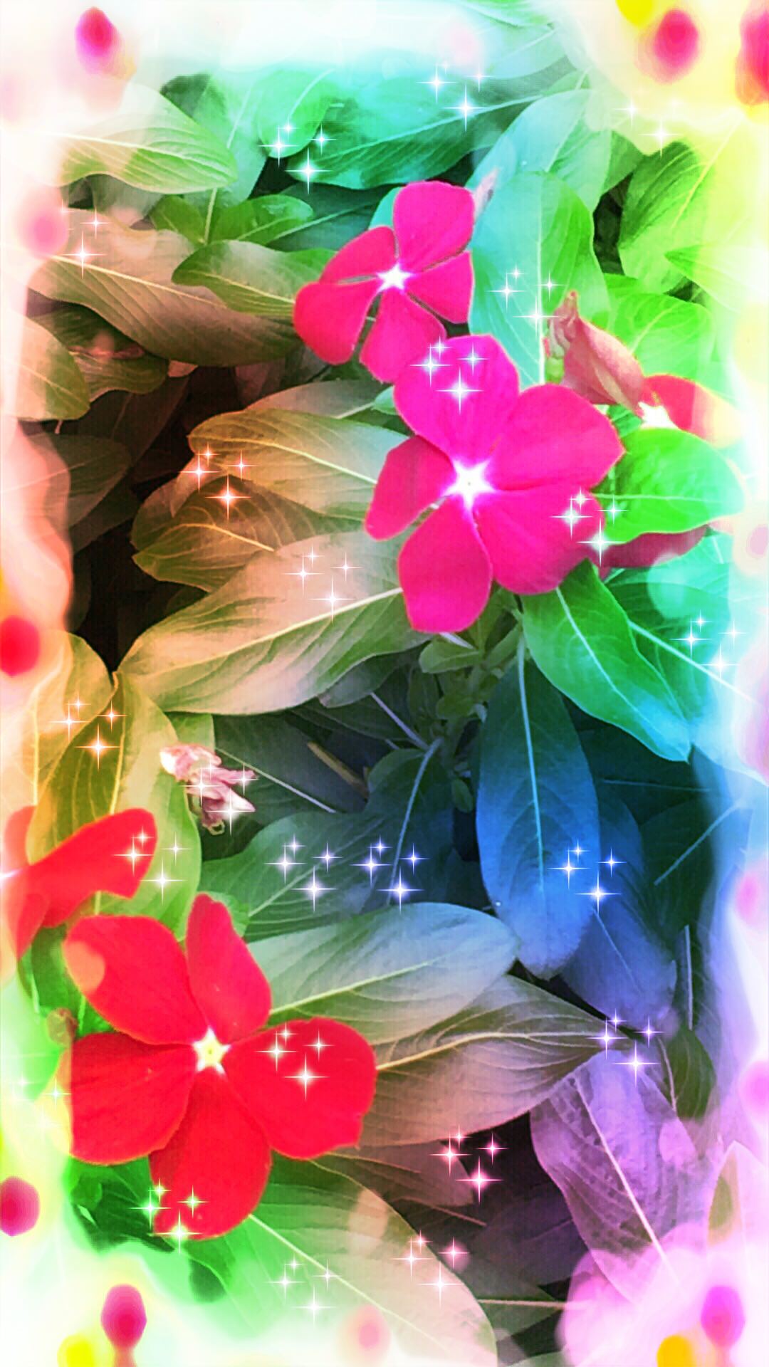 Terbaru 14+ Gambar Wallpaper Cahaya Bunga - Gambar Bunga Indah
