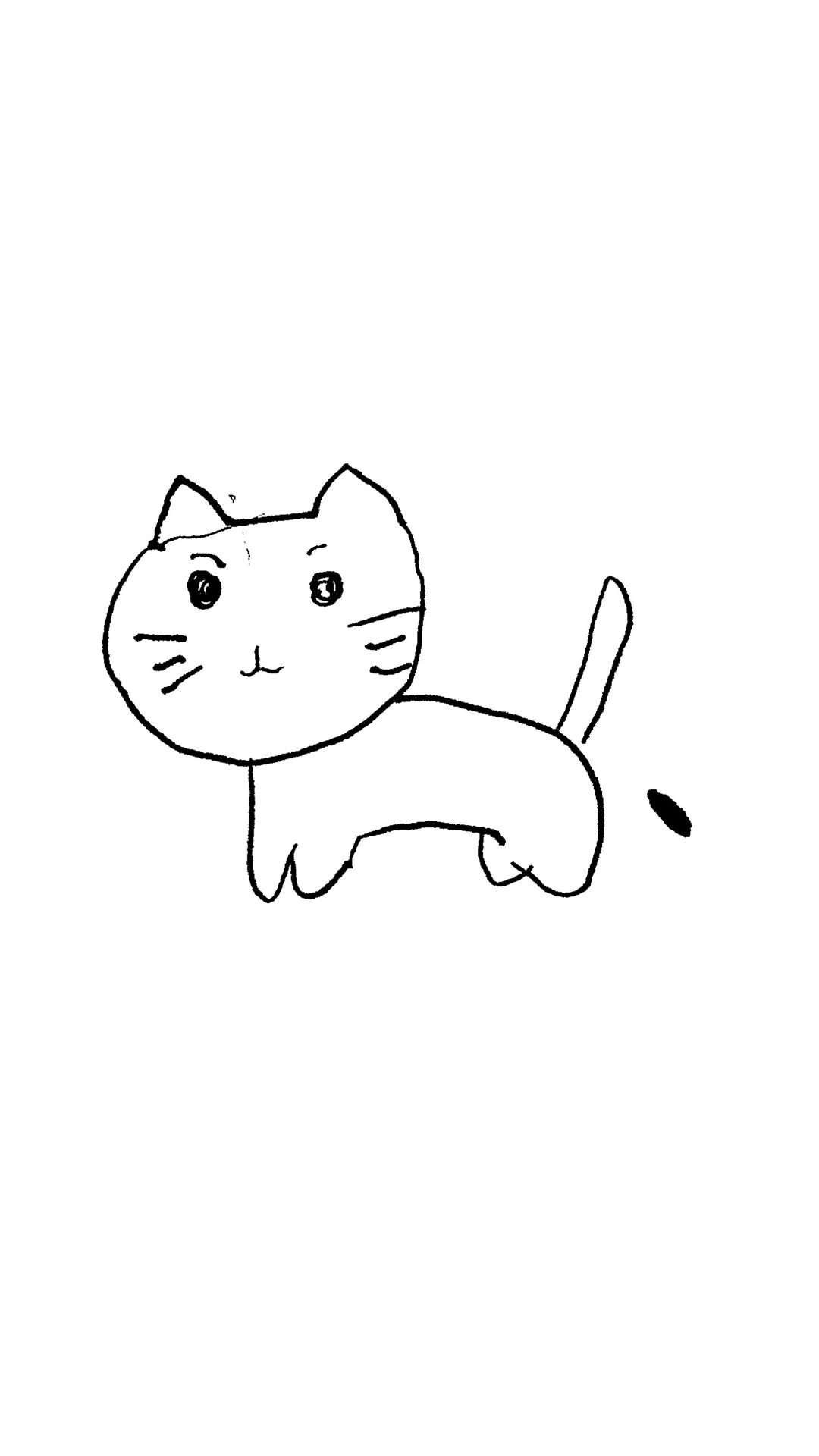 Ilustrasi Kucing Putih Wallpapersc Android