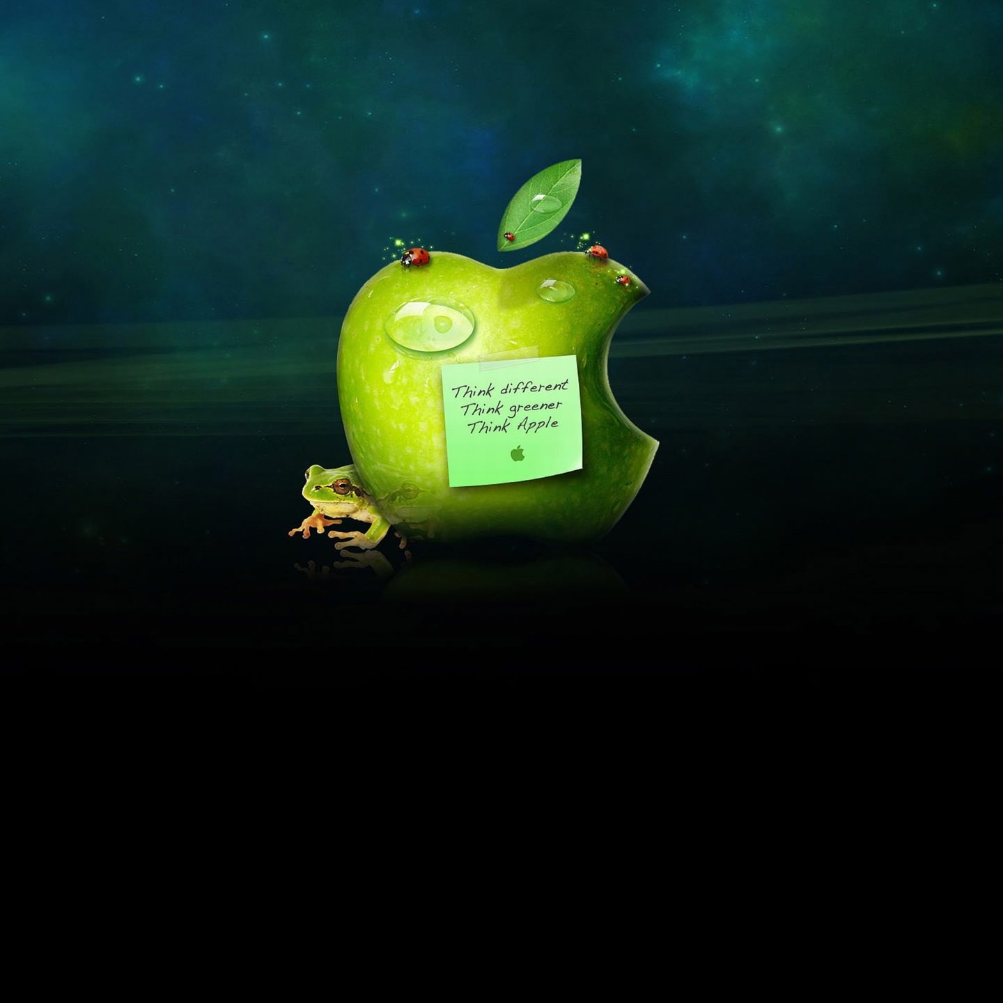 Apple Green Frog Wallpaper Sc Smartphone