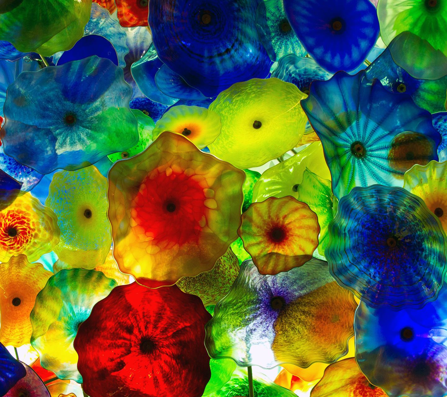 ロイヤリティフリー壁紙 ガラス 最高の花の画像