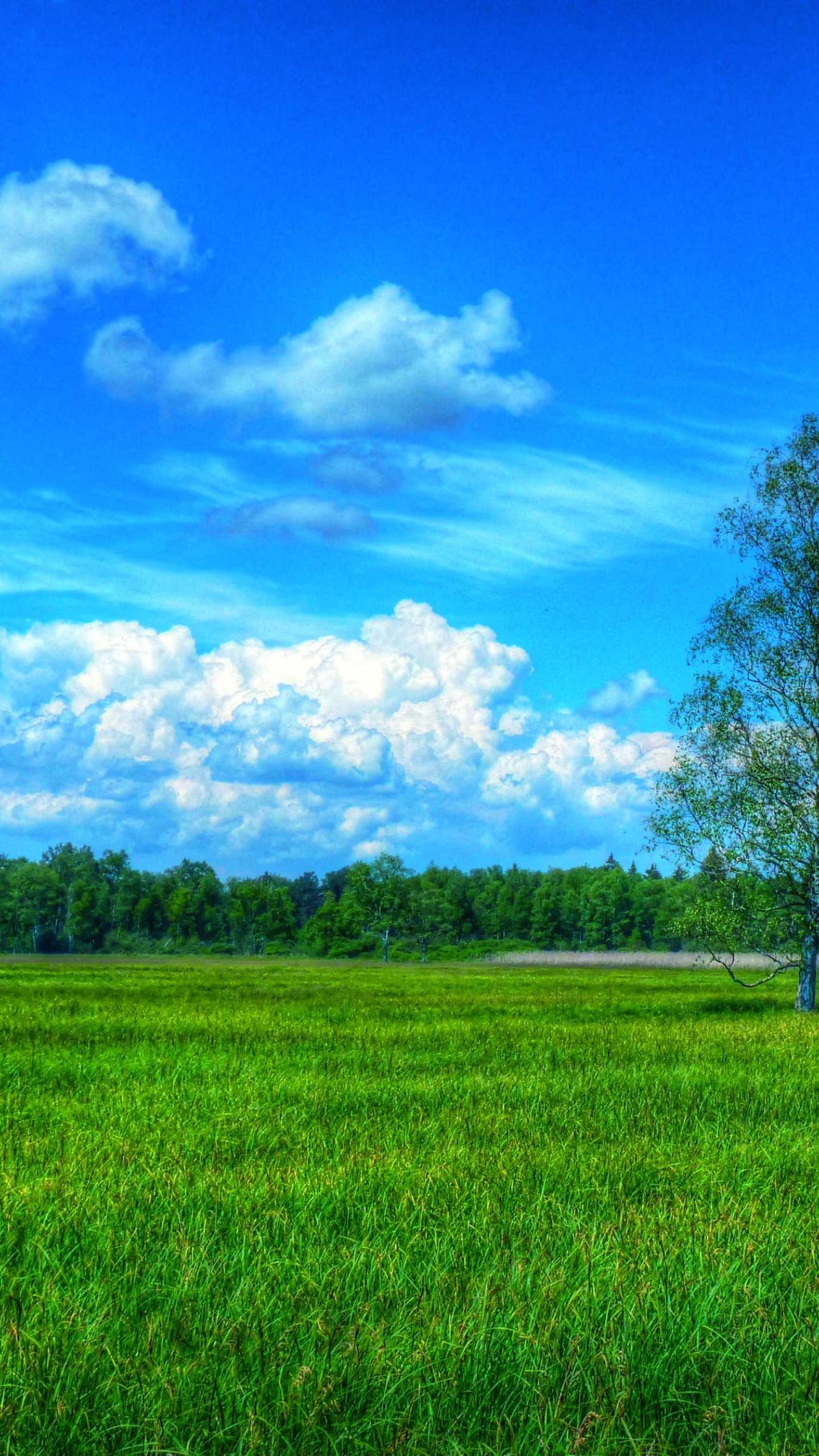 風景 スマホ 壁紙 フリー 風景 スマホ 壁紙 フリー あなたのための最高の壁紙画像