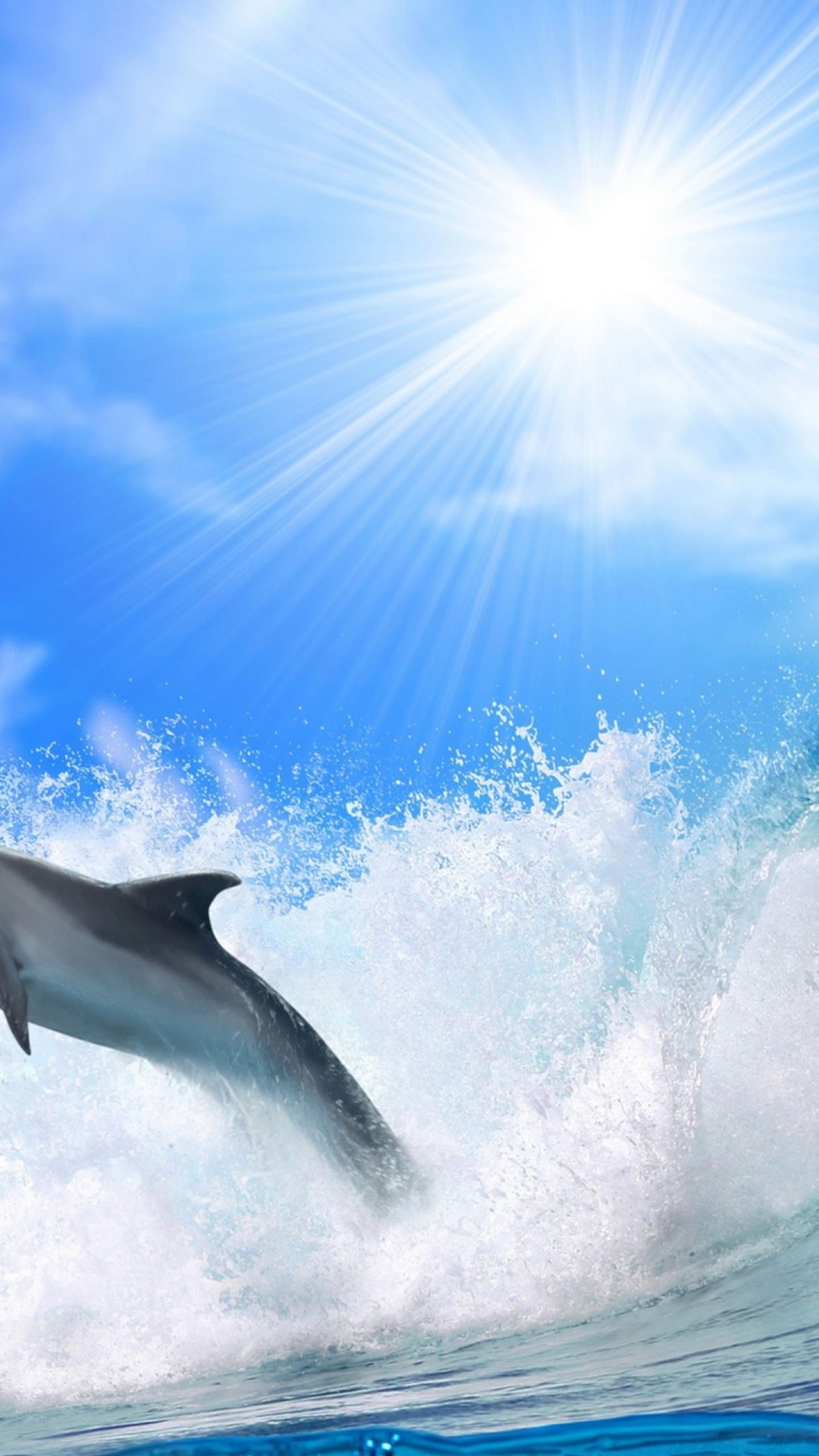 Sea Dolphin Sun Wallpaper Sc Smartphone