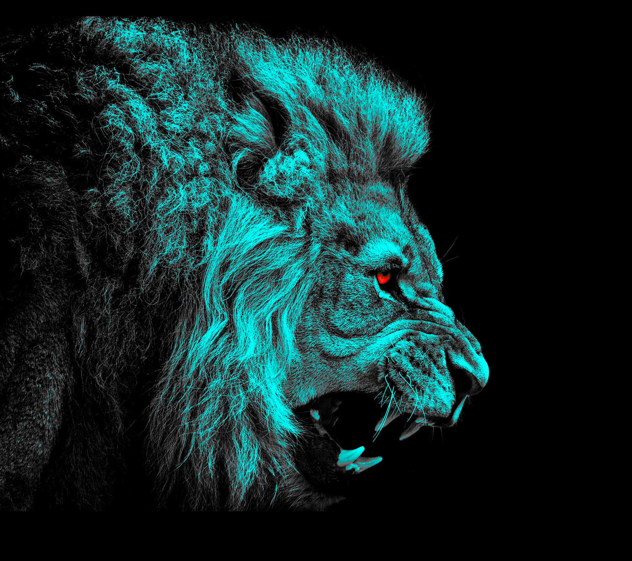 14 Gambar Singa ideas  menggambar singa singa binatang buas