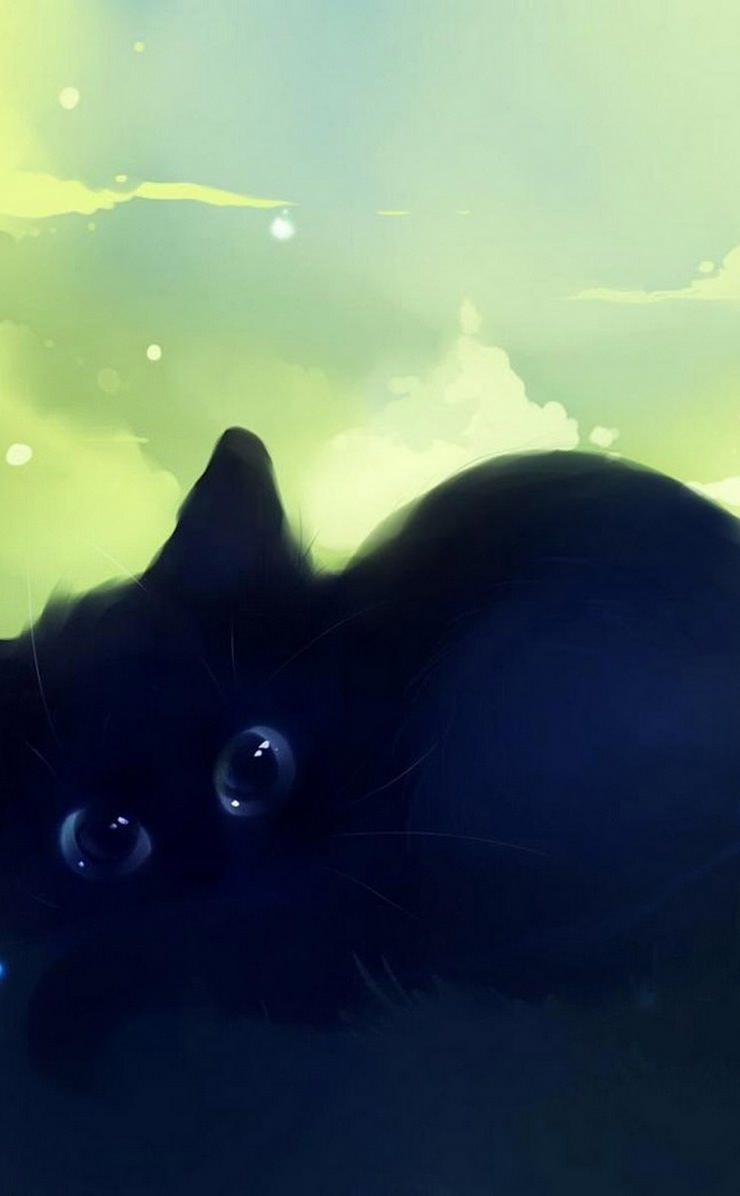 猫黒猫 Wallpaper Sc Iphone4s壁紙