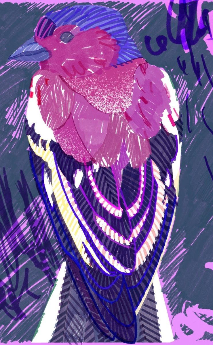 動物鳥絵紫 Wallpaper Sc Iphone4s壁紙