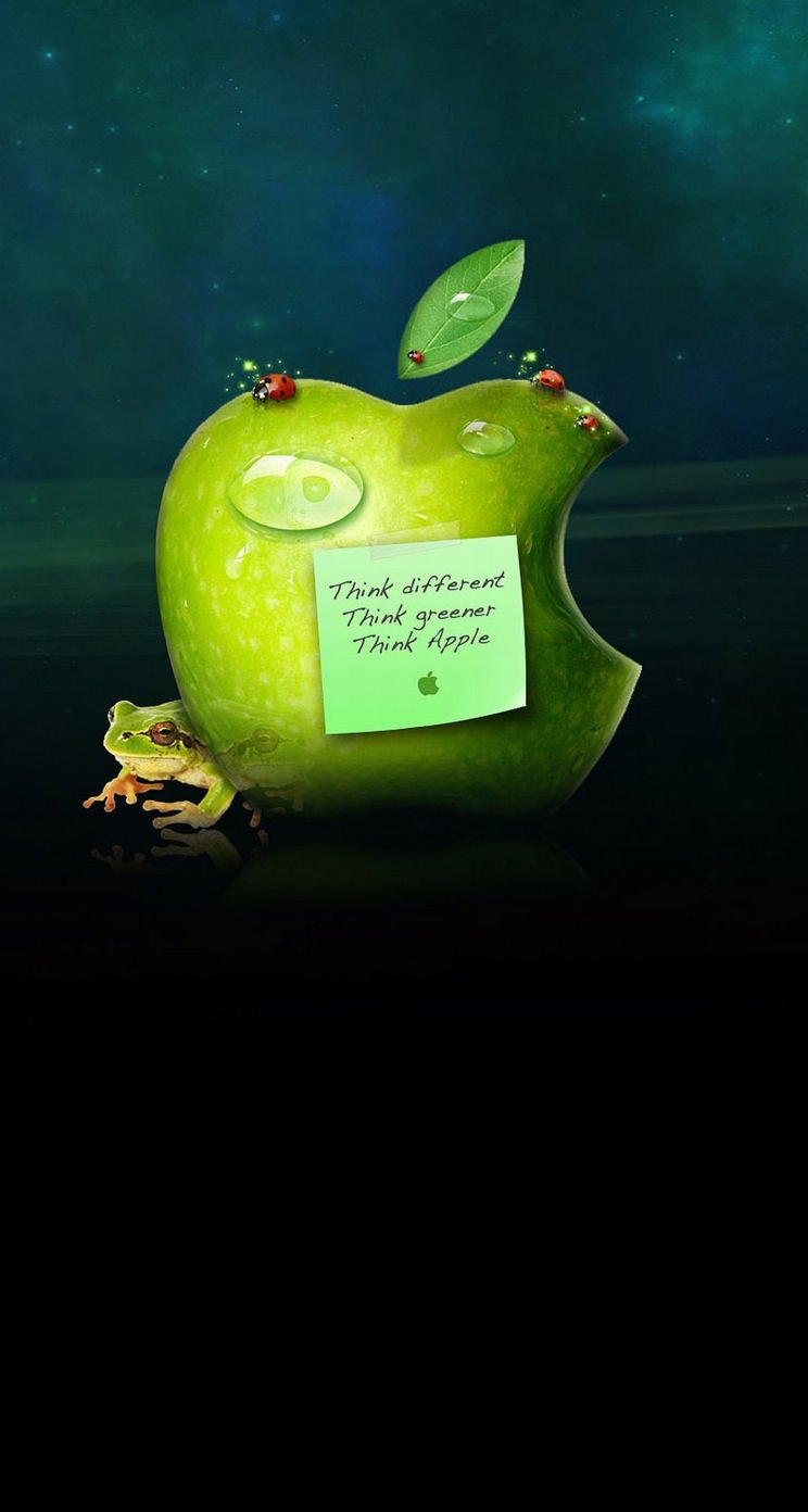 Apple動物カエル緑 Wallpaper Sc Iphone5s Se壁紙