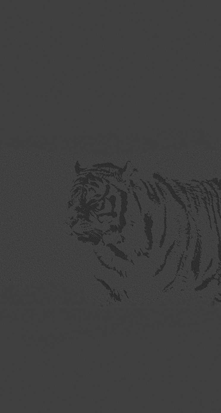 Animal Black Tiger Wallpaper Sc Iphone5s Se