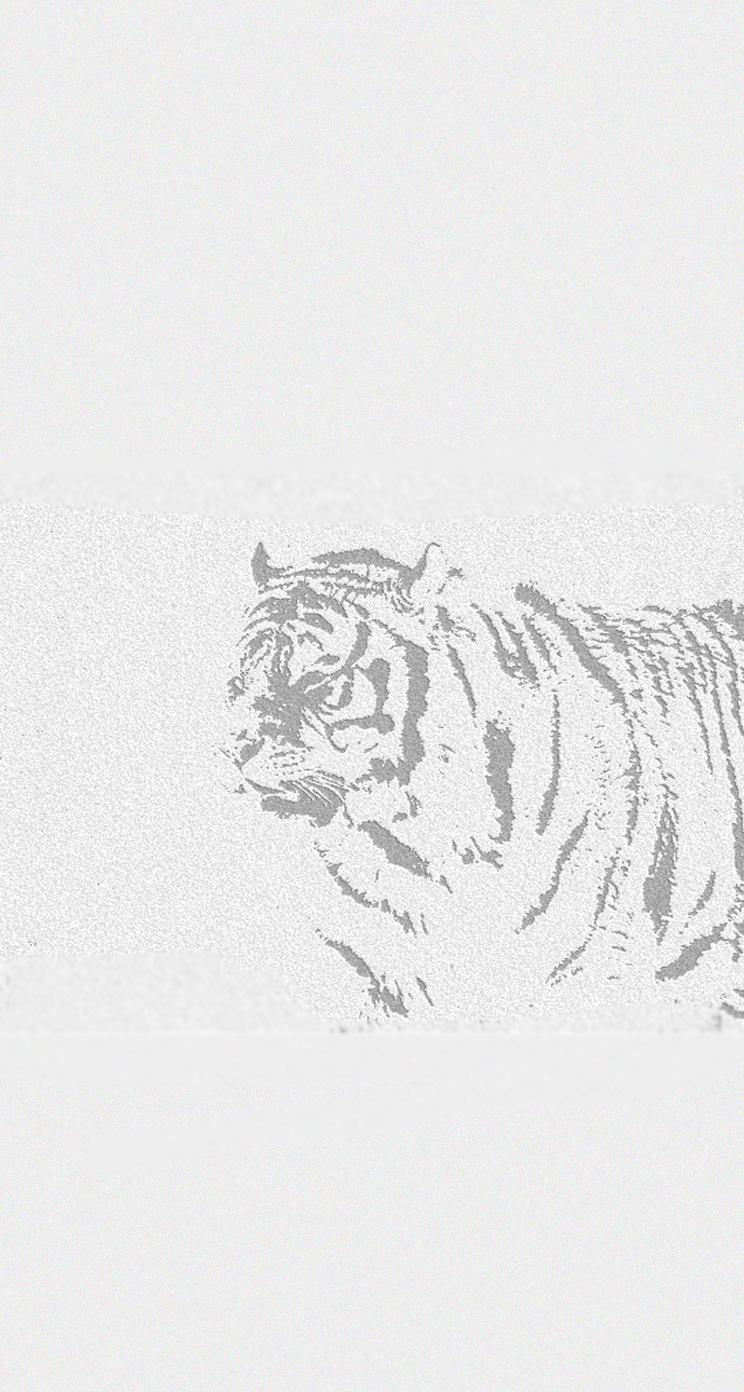 tigre blanco Animal | wallpaper.sc iPhoneSE,5s