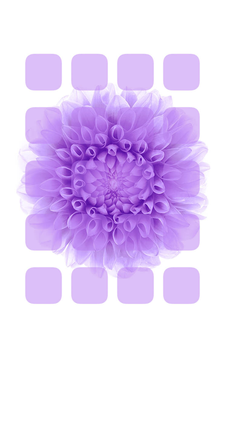 Shelf Purple White Flower Wallpaper Sc Iphone5s Se