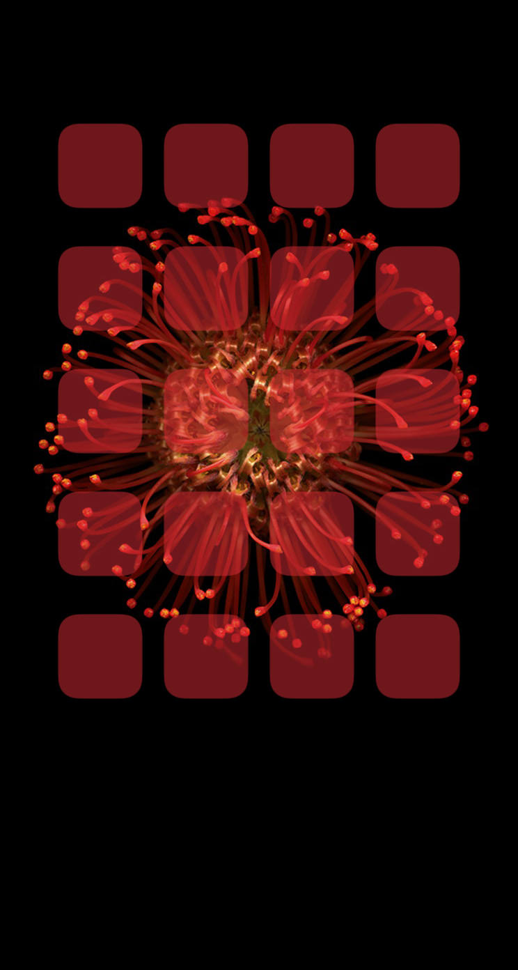 70以上 Iphone 赤 黒 壁紙 ただ素晴らしい花