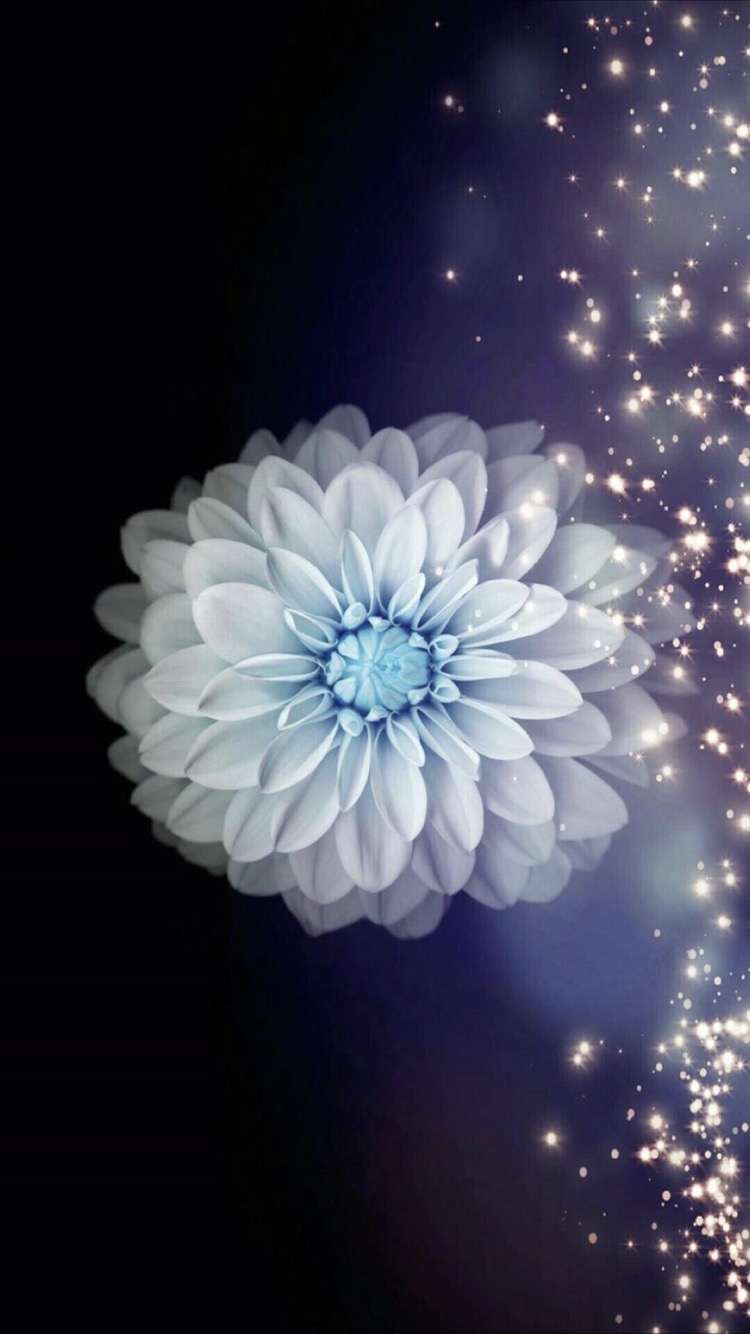 Terbaru 14+ Gambar Wallpaper Cahaya Bunga - Gambar Bunga Indah