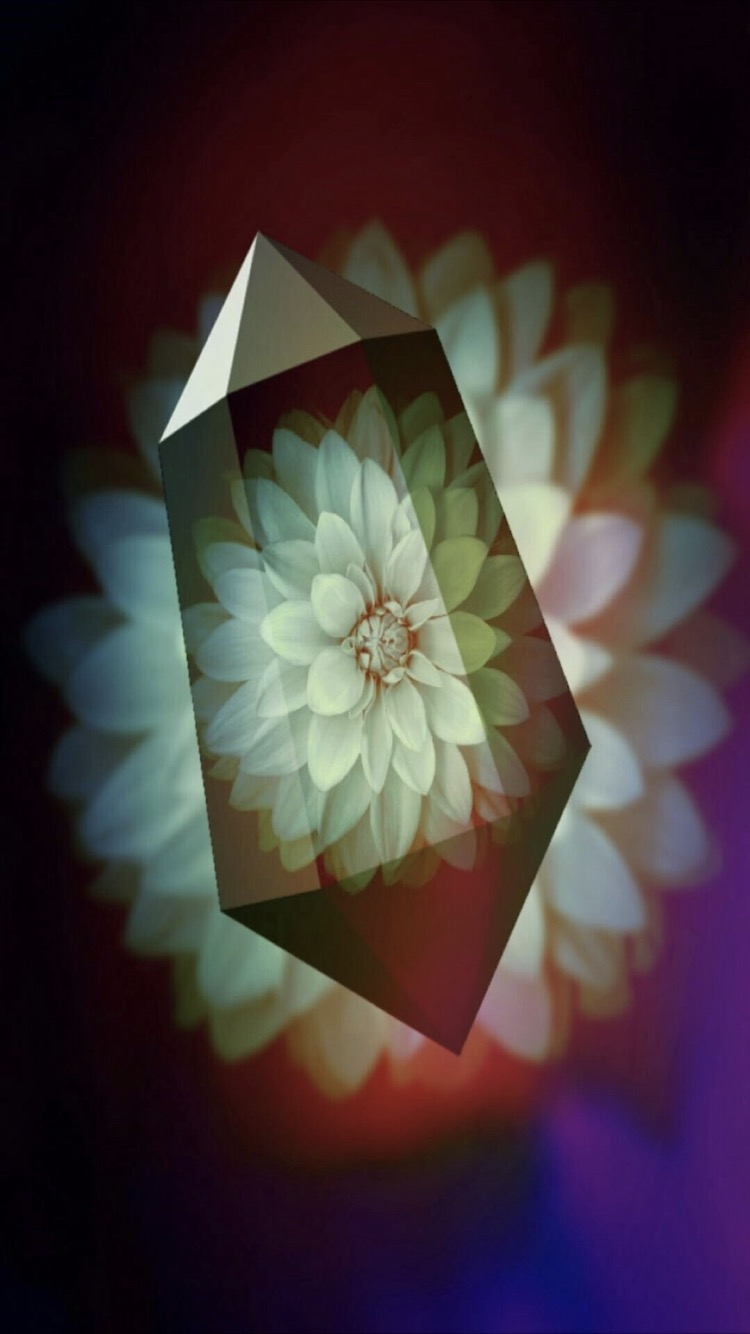 Hd限定iphone 水晶 壁紙 美しい花の画像