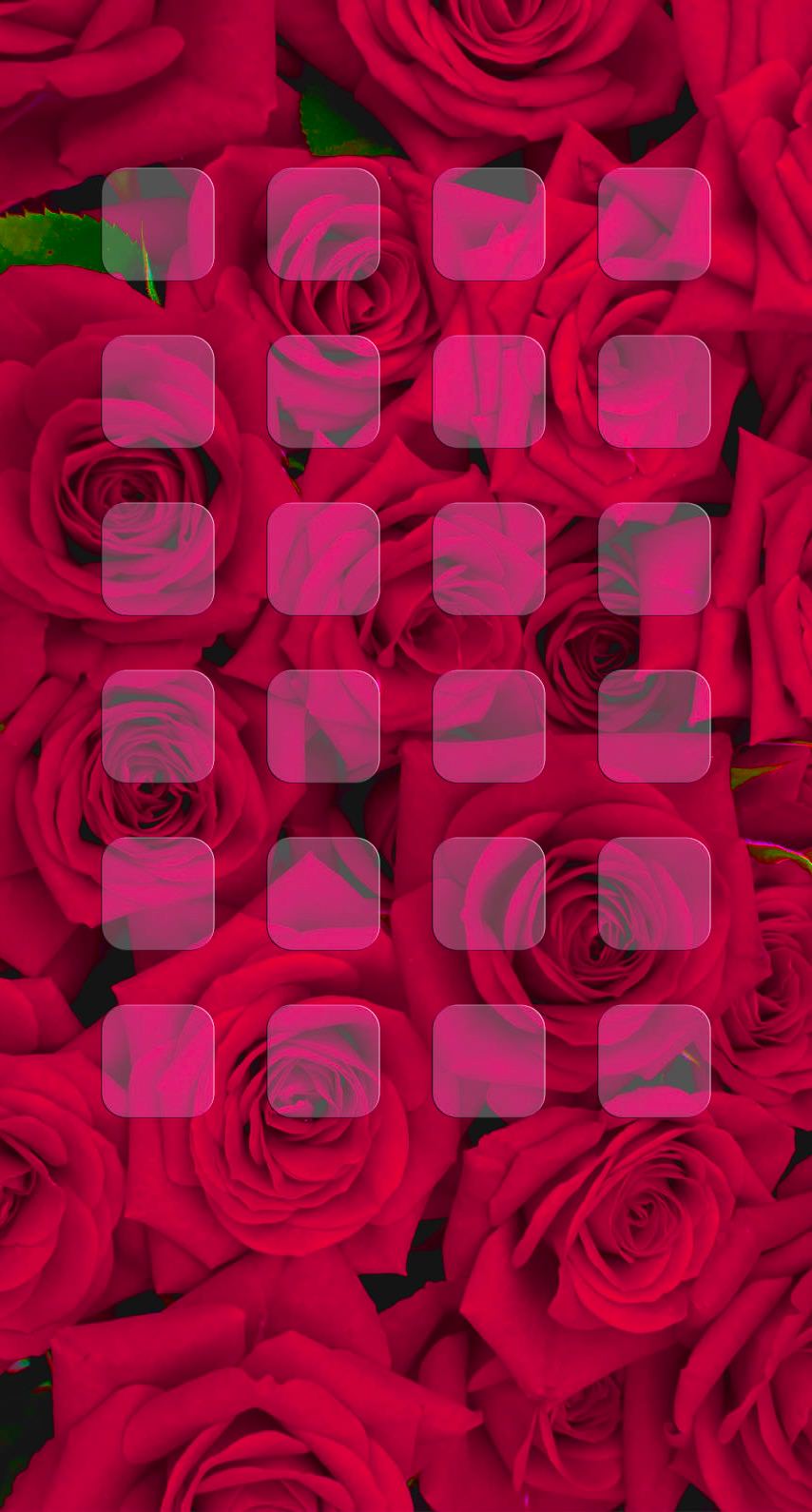 バラ赤紫棚 Wallpaper Sc Iphone6s壁紙