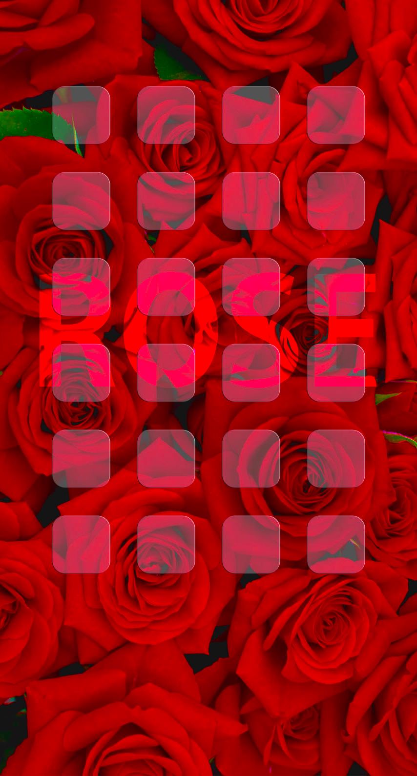 Rose Red Rose Shelf Wallpapersc Iphone6s
