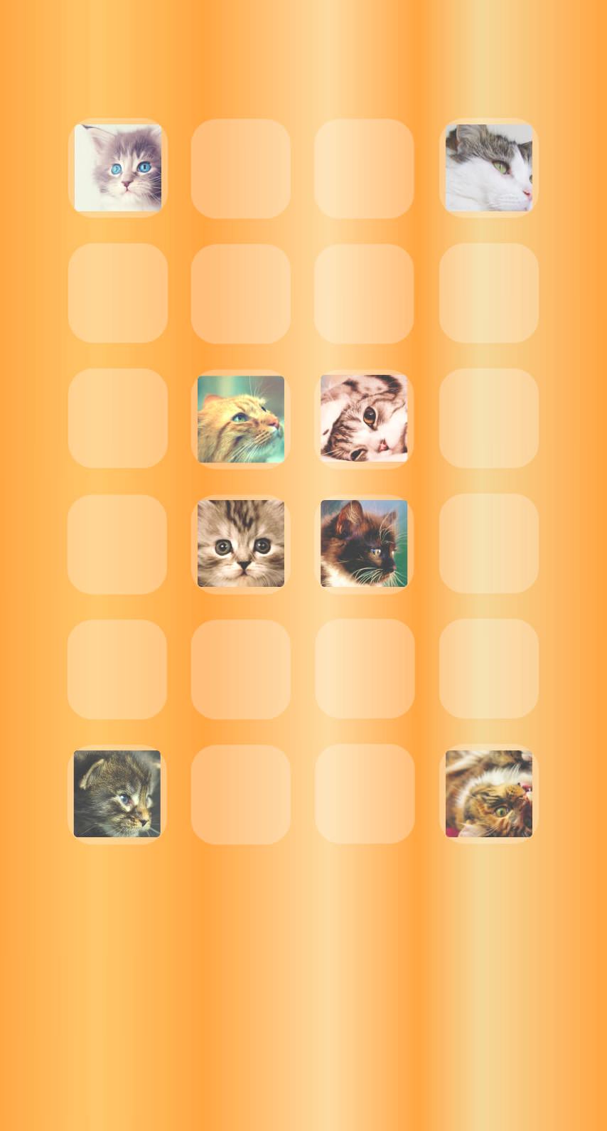 棚猫橙 Wallpaper Sc Iphone6s壁紙