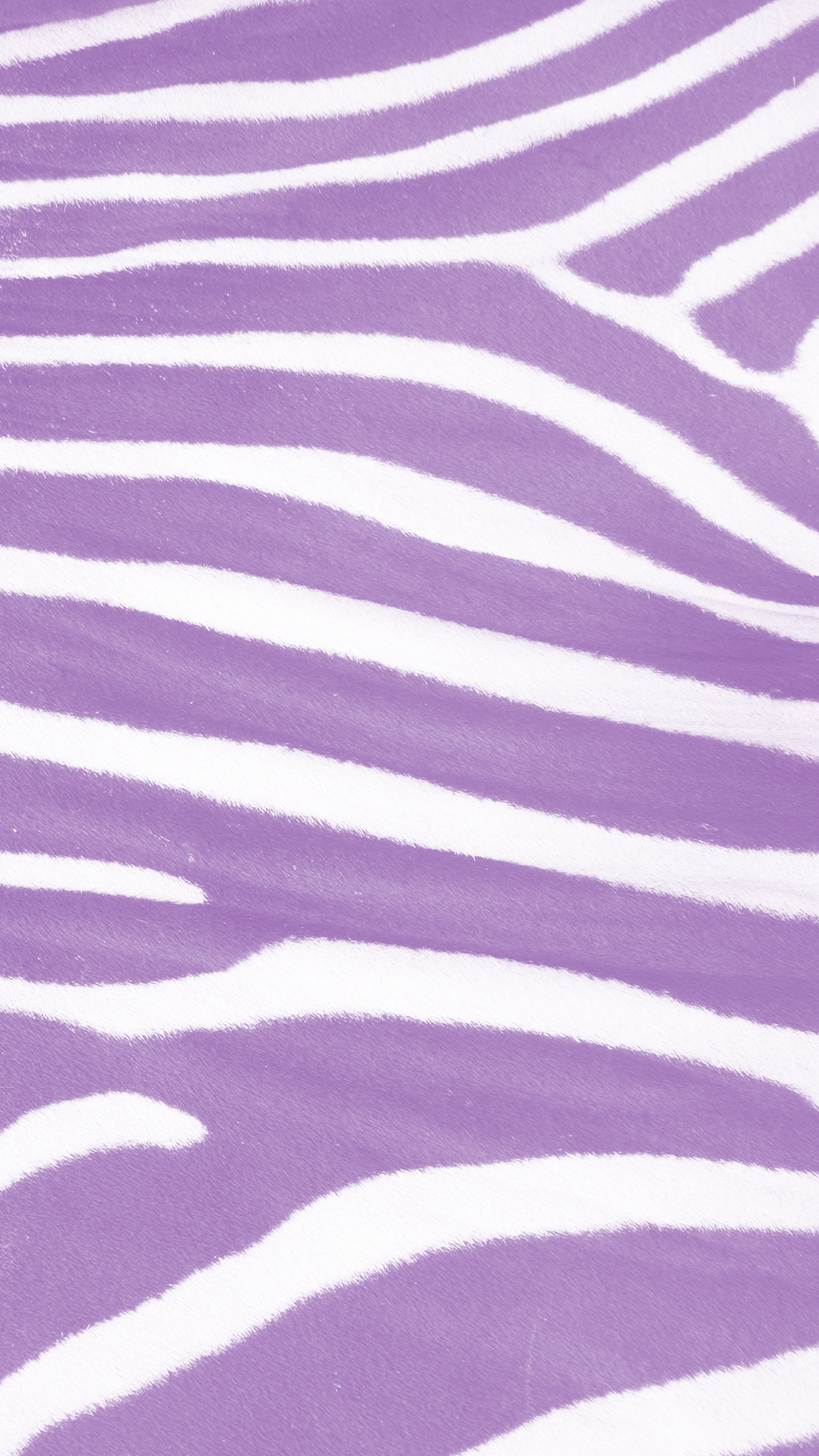 ゼブラ模様紫 Wallpaper Sc Iphone6splus壁紙