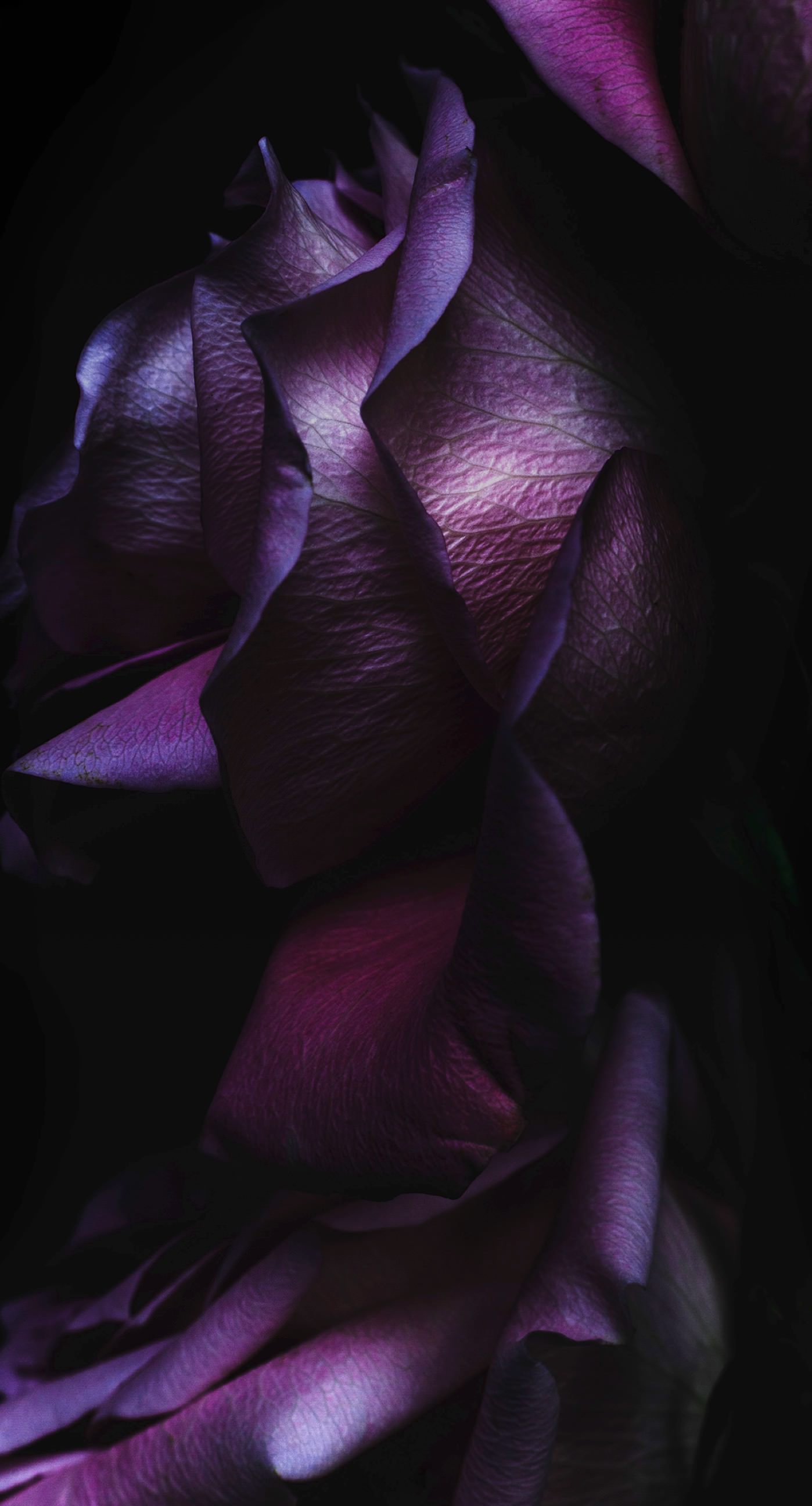 Black purple cool iOS9 | wallpaper.sc iPhone6sPlus