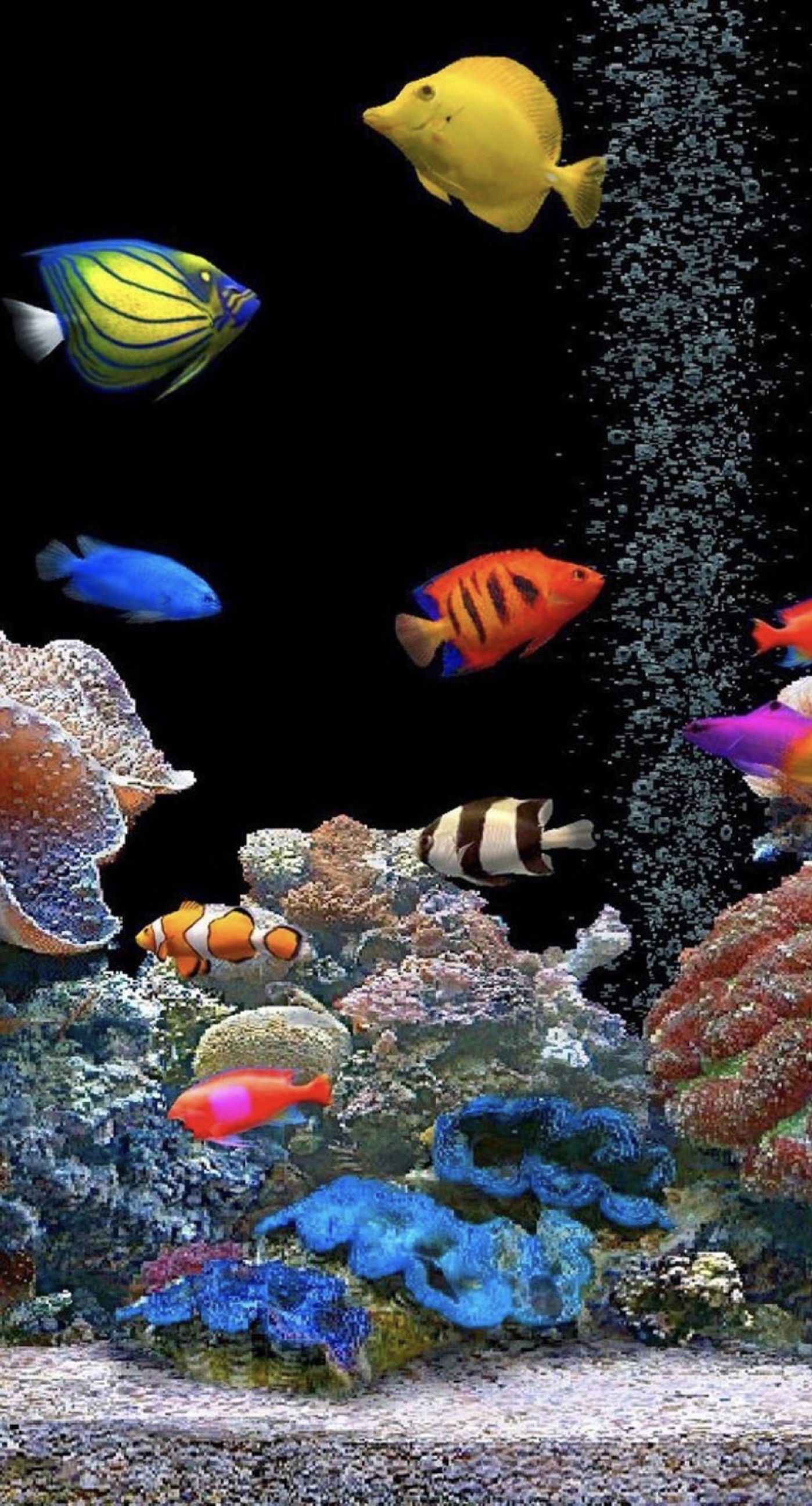 Aquarium tank colorful | wallpaper.sc iPhone6sPlus