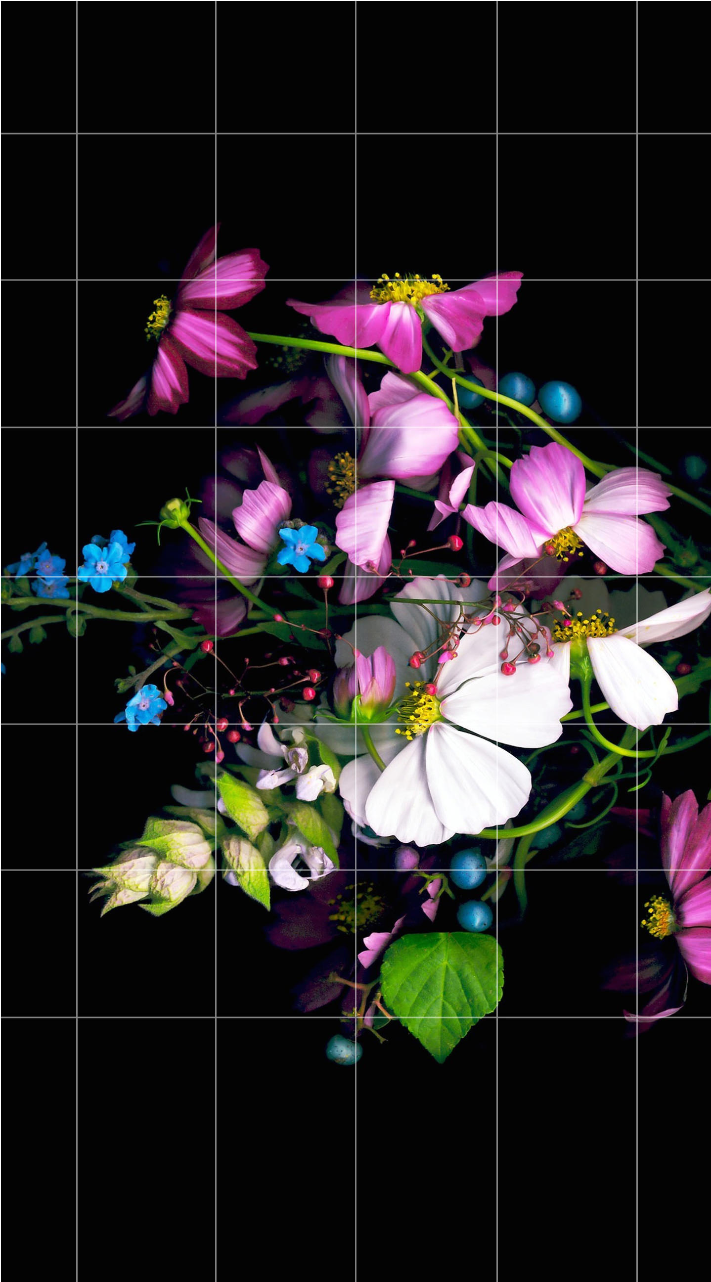 ロイヤリティフリーiphone 壁紙 黒 花 最高の花の画像