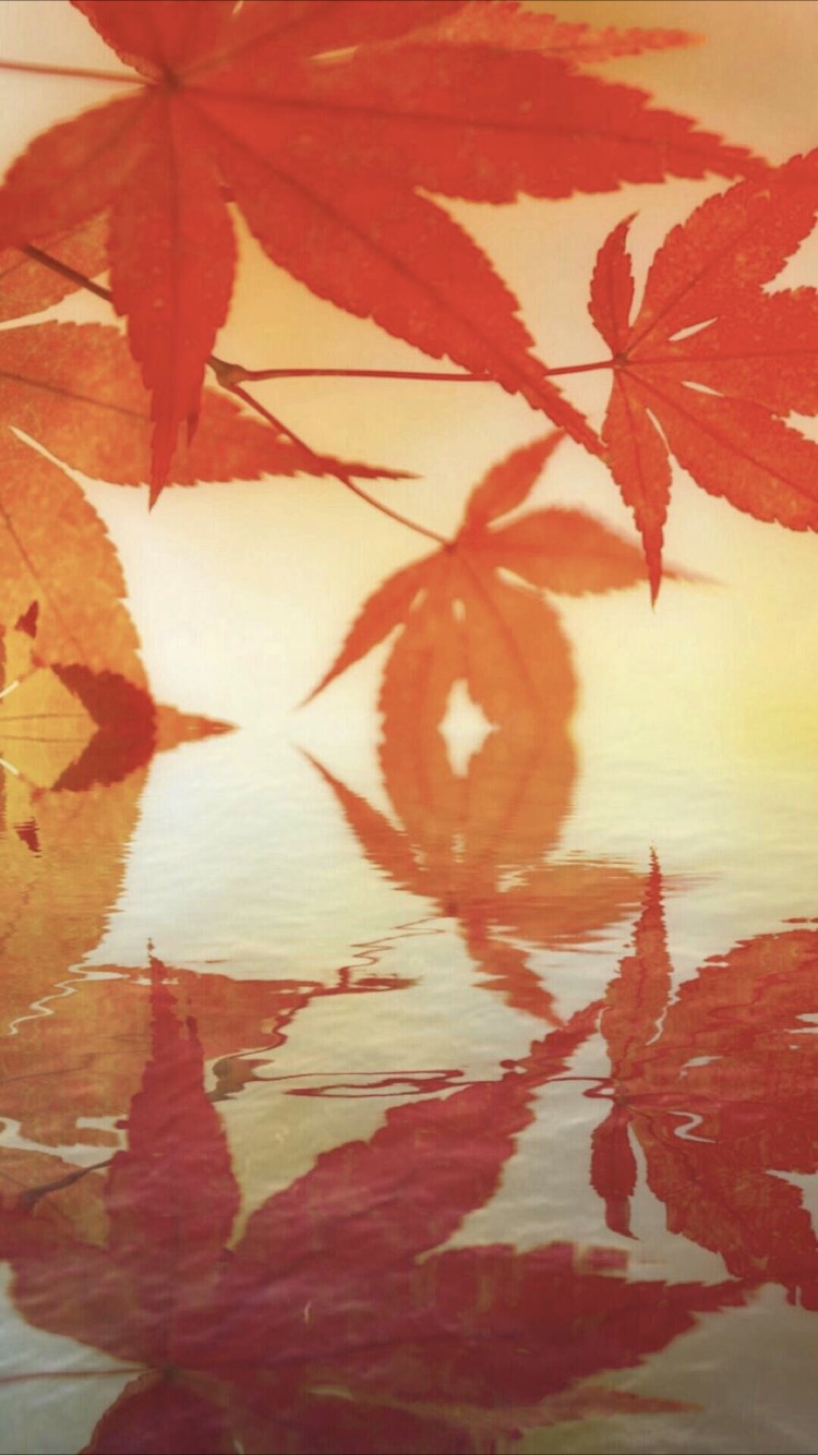 Autumn Leaves Japanese Style Wallpaper Sc Iphone7