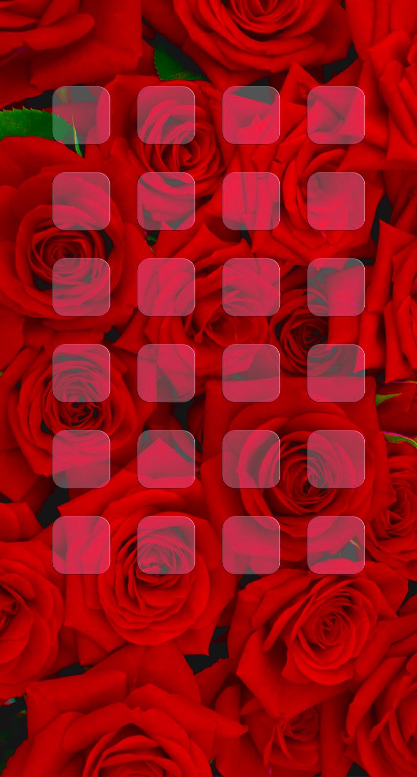 バラ赤棚 Wallpaper Sc Iphone7壁紙