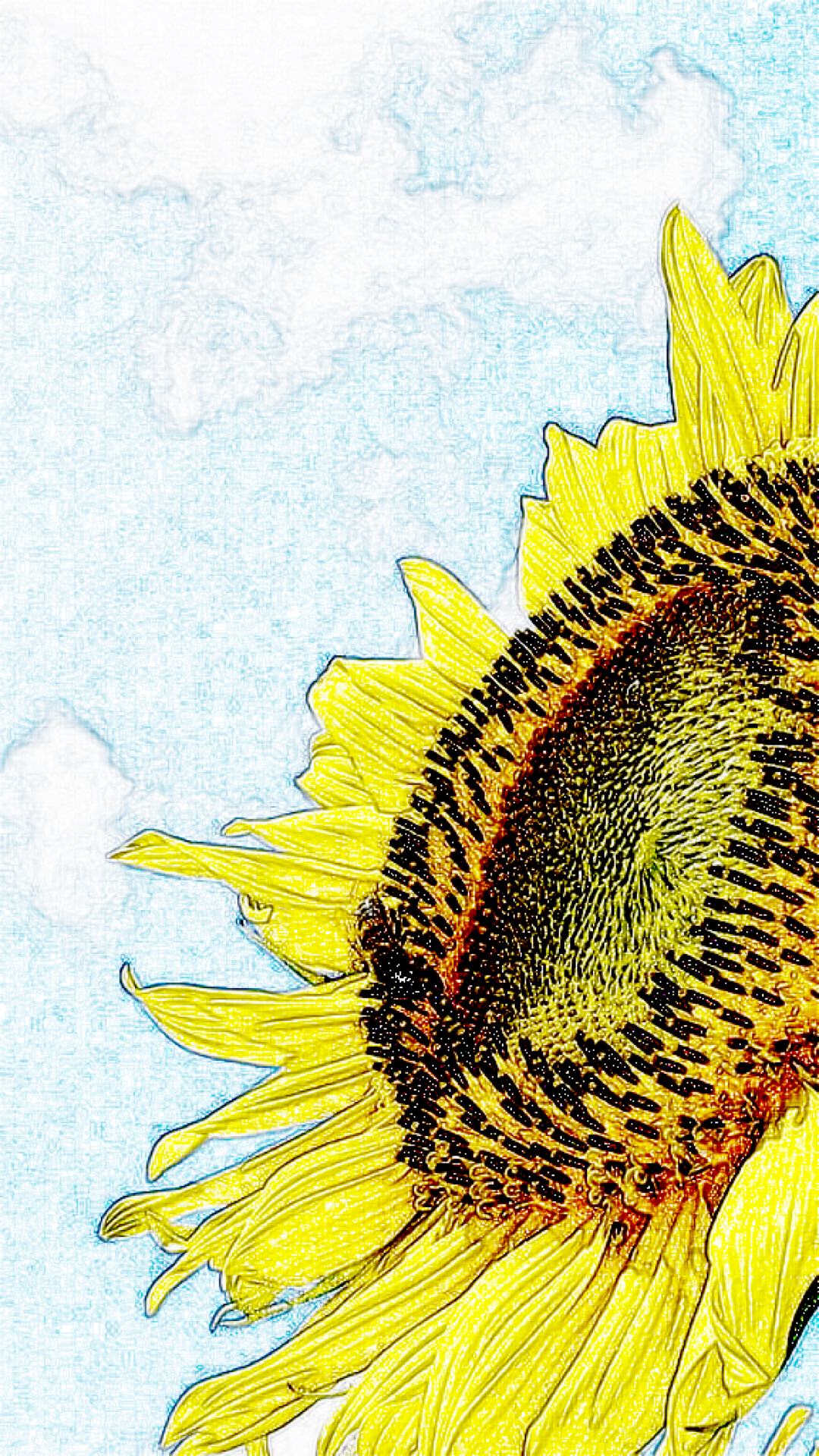 Gambar Bunga Matahari Wallpapersc IPhone7Plus