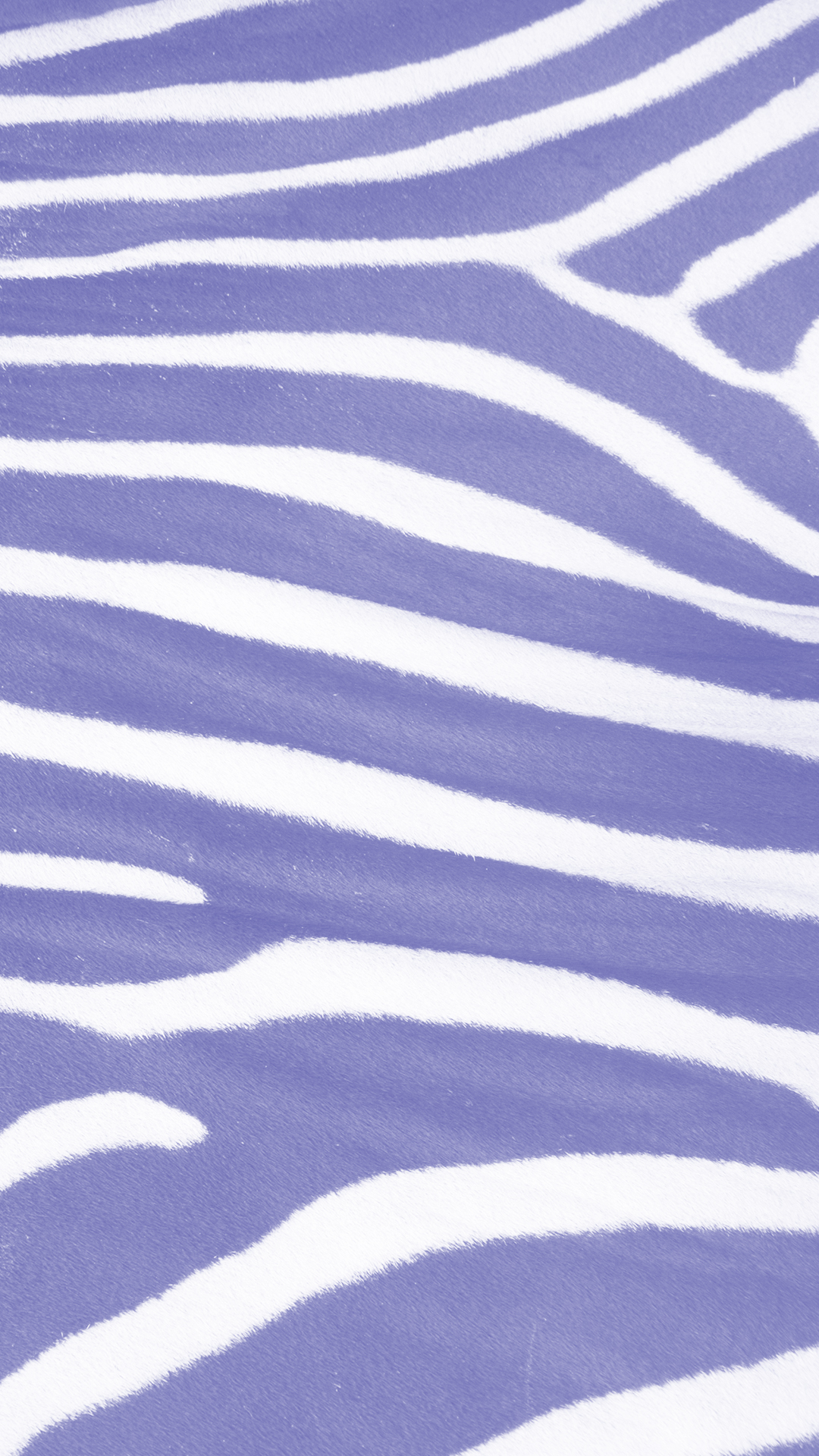 ゼブラ模様青紫 Wallpaper Sc Iphone7plus壁紙
