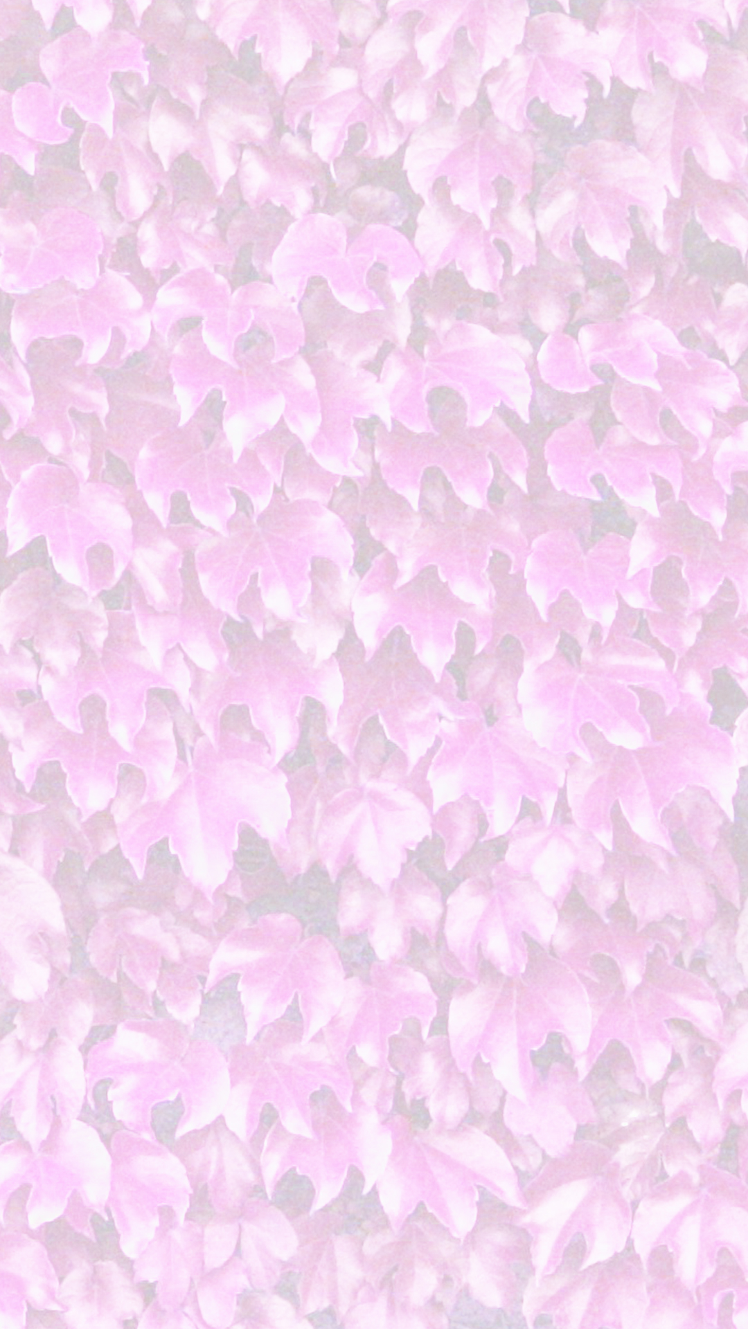 Leaf Pattern Pink Wallpapersc Iphone7plus