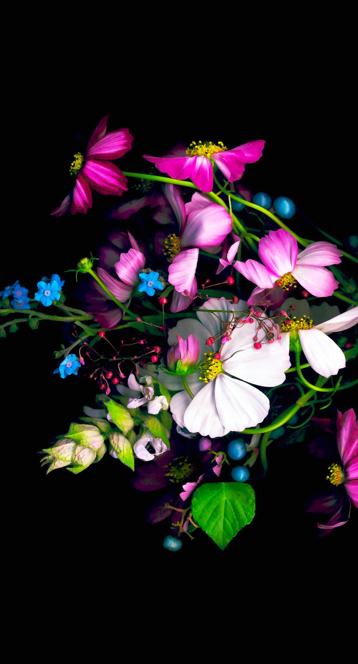 Colorful Flower Black Wallpapersc Iphone7plus