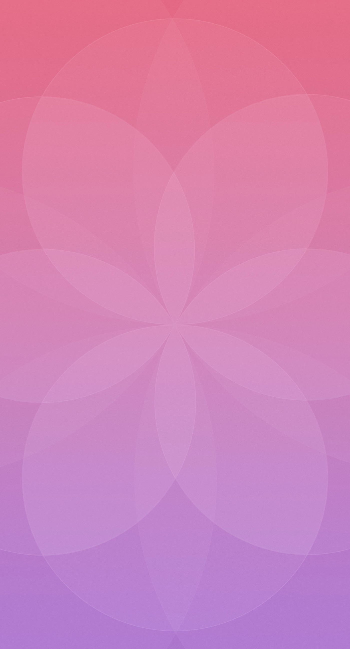 Với Pola dinding ungu merah cực kỳ hấp dẫn và nghệ thuật, bạn không thể bỏ lỡ cơ hội xem nó. Hãy tận hưởng trải nghiệm đầy màu sắc và sự phối hợp tuyệt vời của nó. 