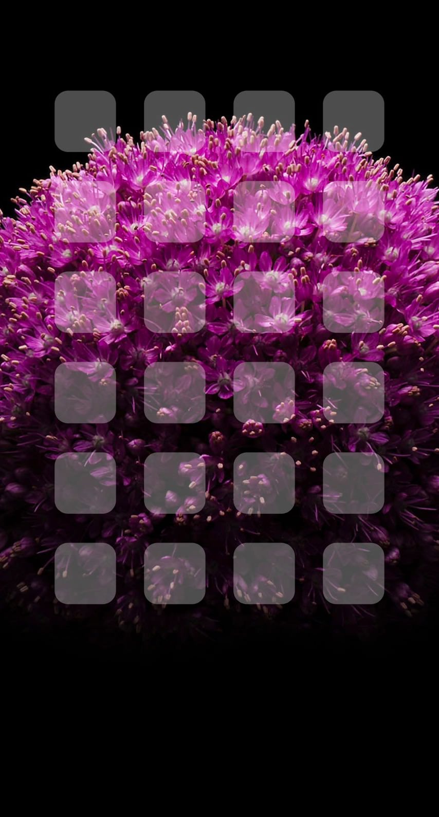 花紫黒棚 Wallpaper Sc Iphone8壁紙