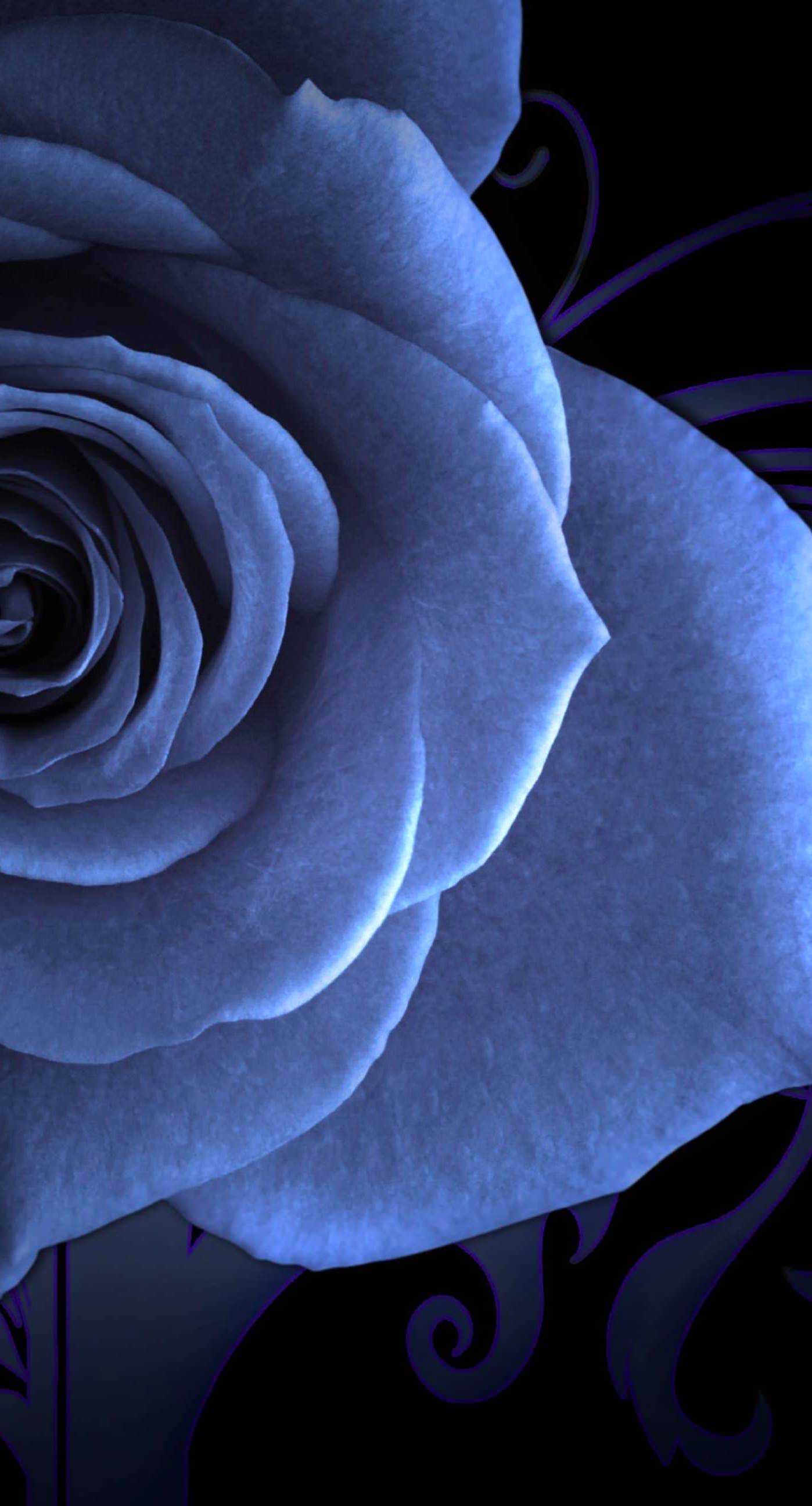 ベスト50 Iphone 壁紙 青い花 最高の花の画像