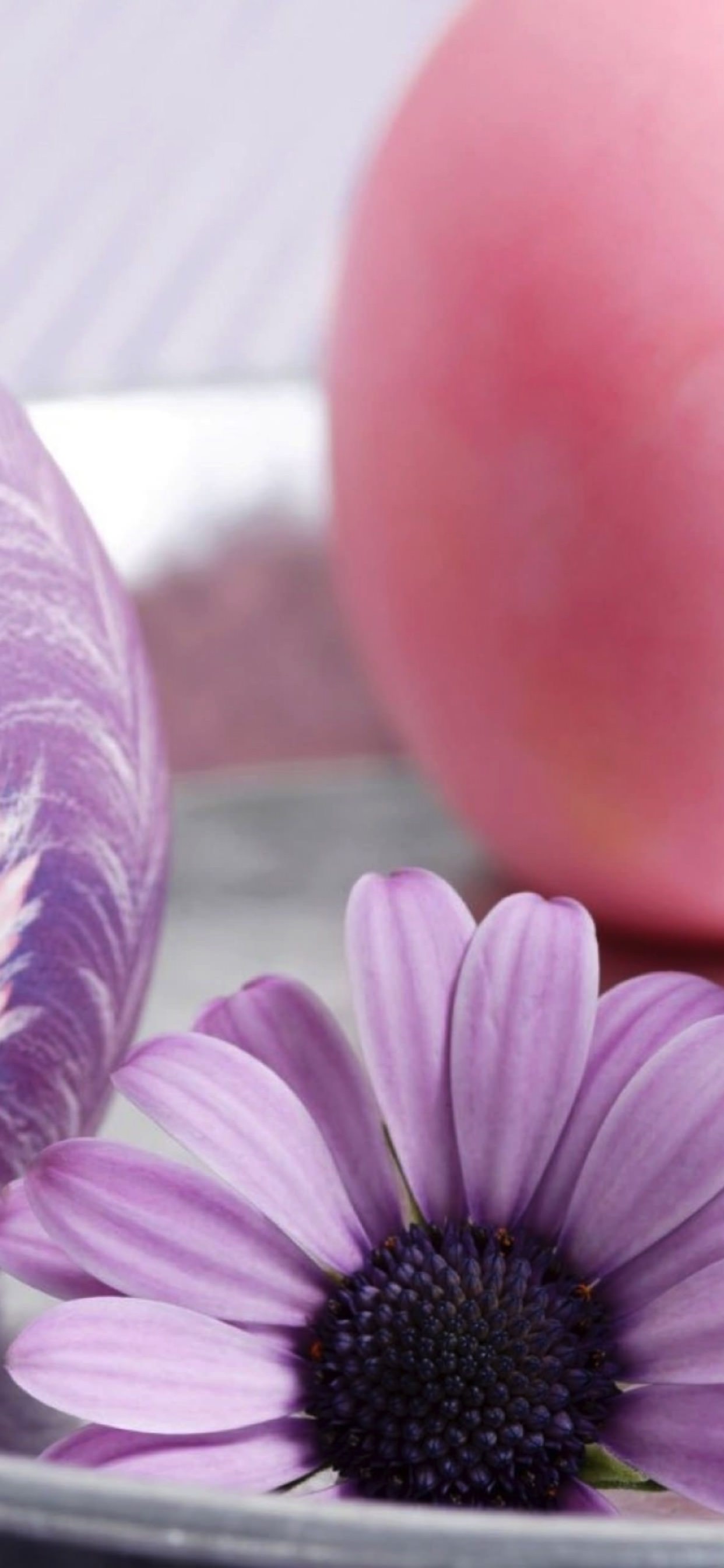 すべての美しい花の画像 無料ダウンロード紫 壁紙 Iphone11