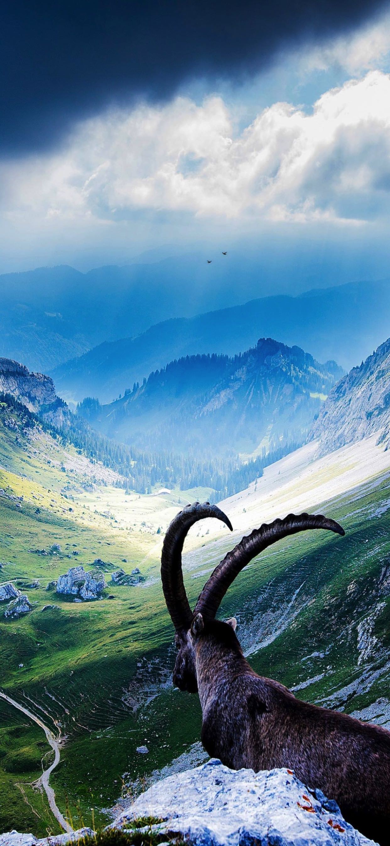 Rocky mountain landscape | wallpaper.sc iPhone XS Max