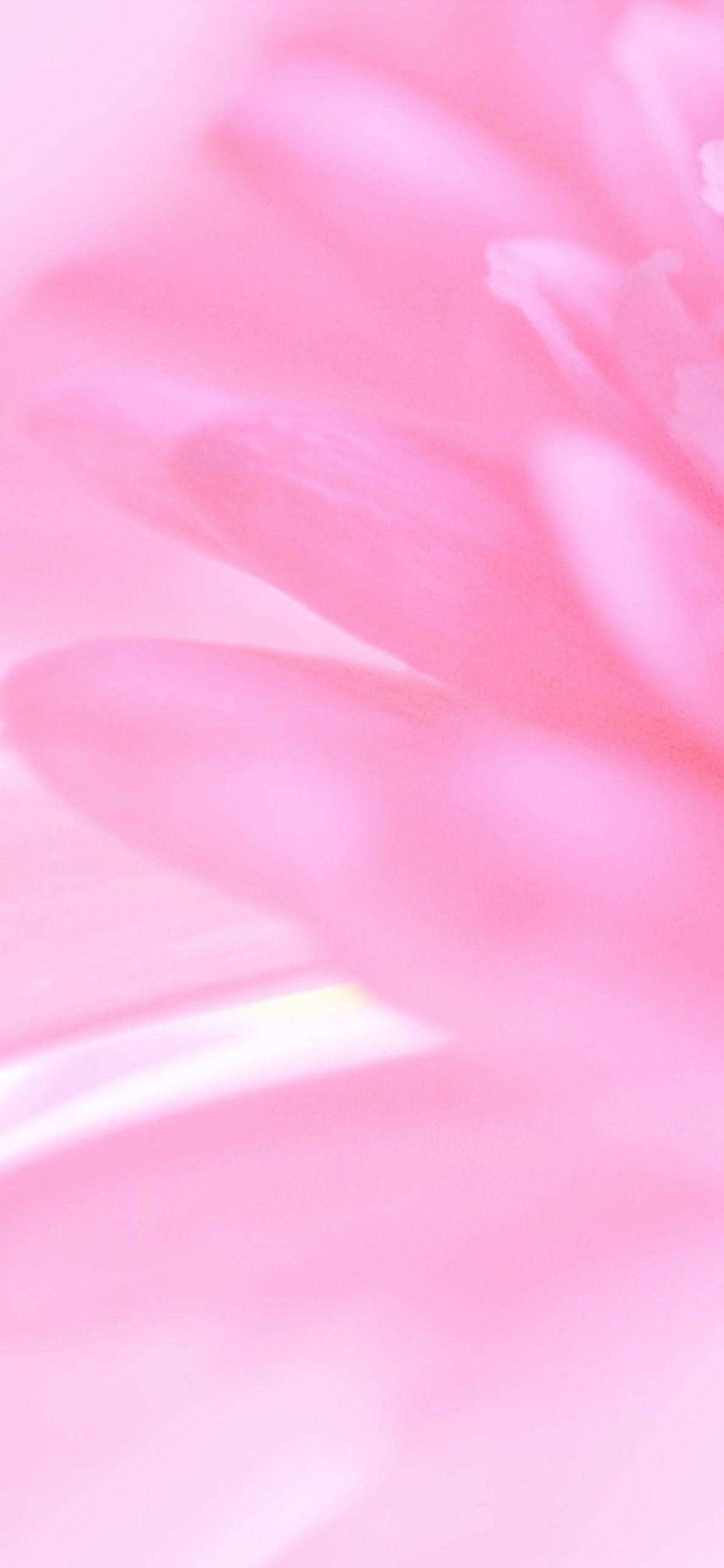 Với hình nền iPhone XS Max hoa tự nhiên màu hồng, bạn sẽ được trở về với thiên nhiên trong lành và tận hưởng vẻ đẹp đơn giản nhưng cảm động của những bông hoa. Sự kết hợp tinh tế giữa hình ảnh và màu sắc sẽ khiến cho chiếc điện thoại của bạn trở nên rực rỡ hơn bao giờ hết.