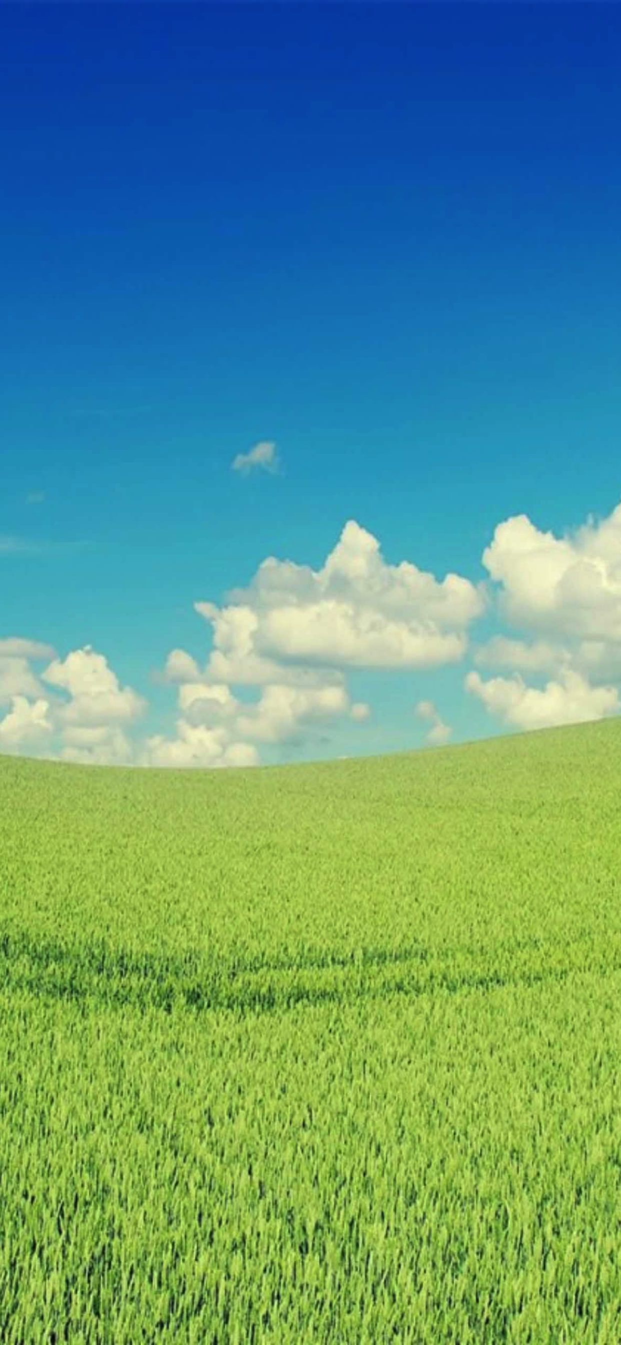 cloud sky green | wallpaper.sc iPhone XS Max