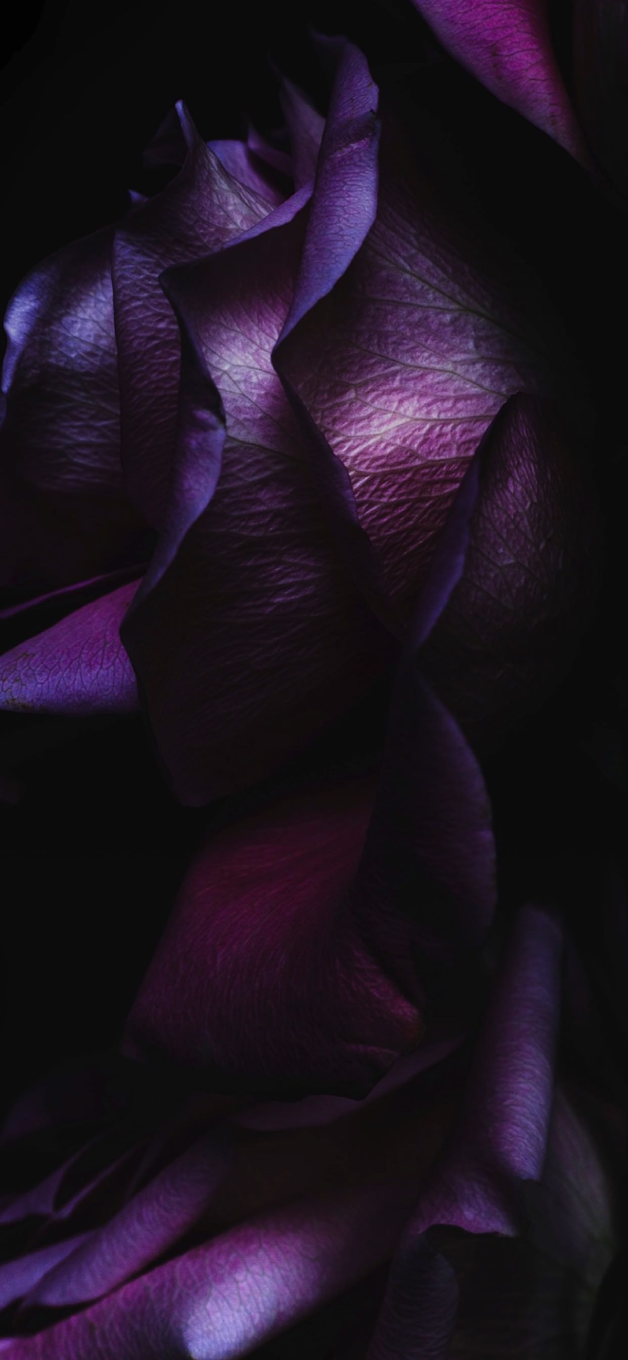 黒紫クールios9 Wallpaper Sc Iphone Xs Max壁紙